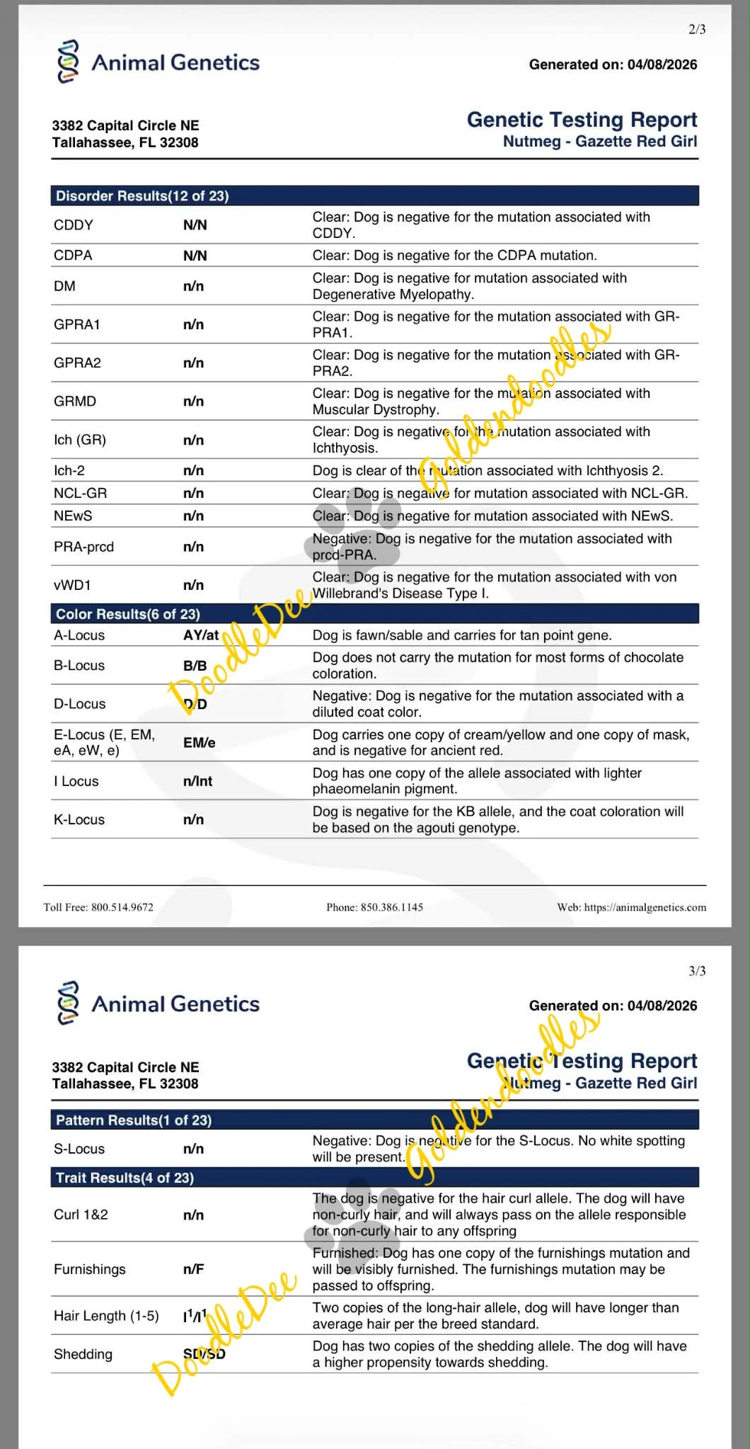 Genetic Health Testing- AG