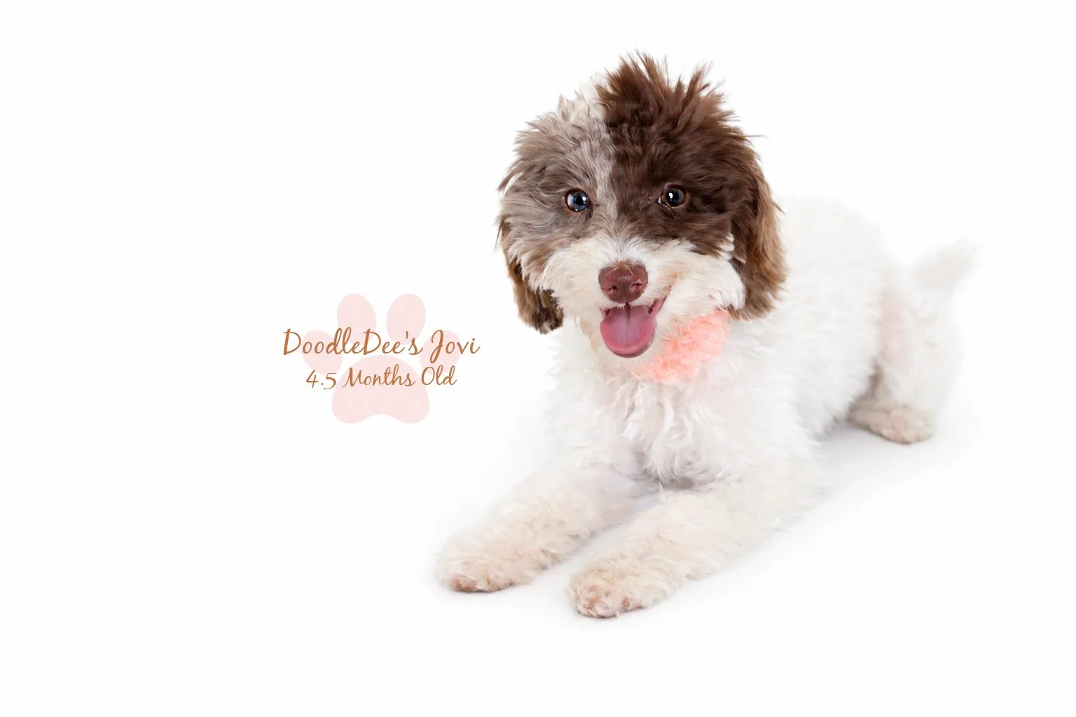 4.5 months JOVI-2.jpg