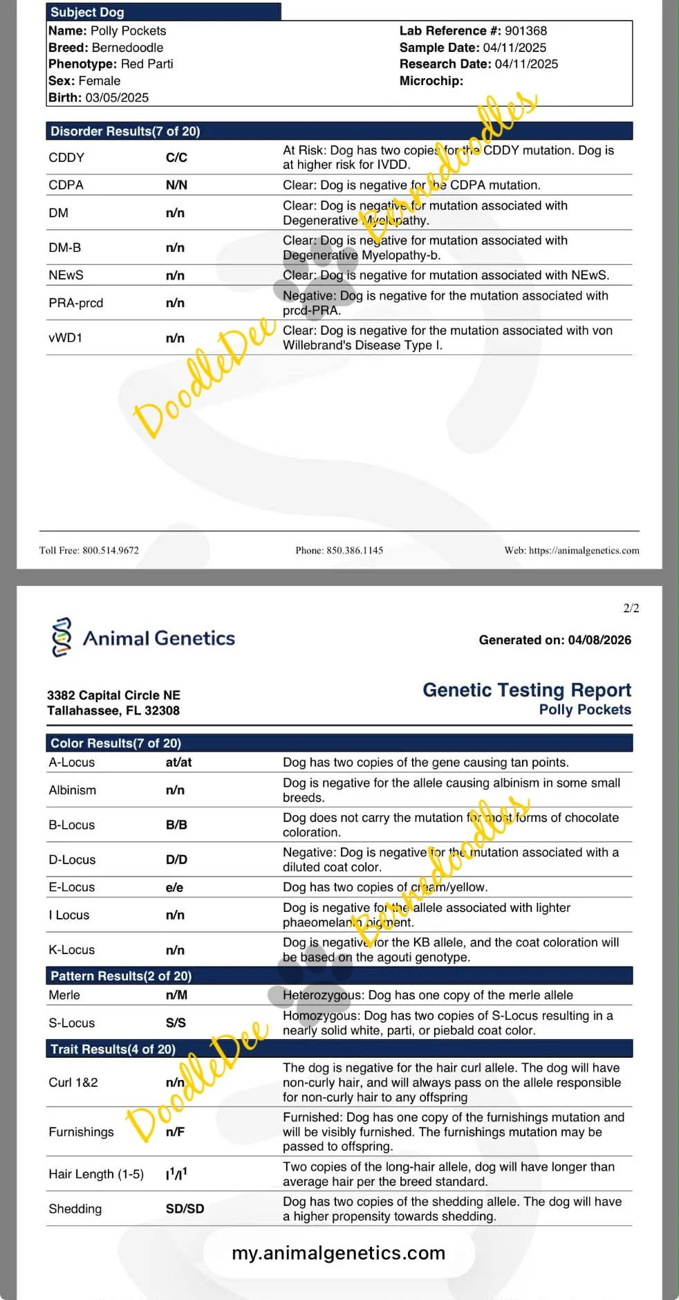 Genetic Health Testing- AG