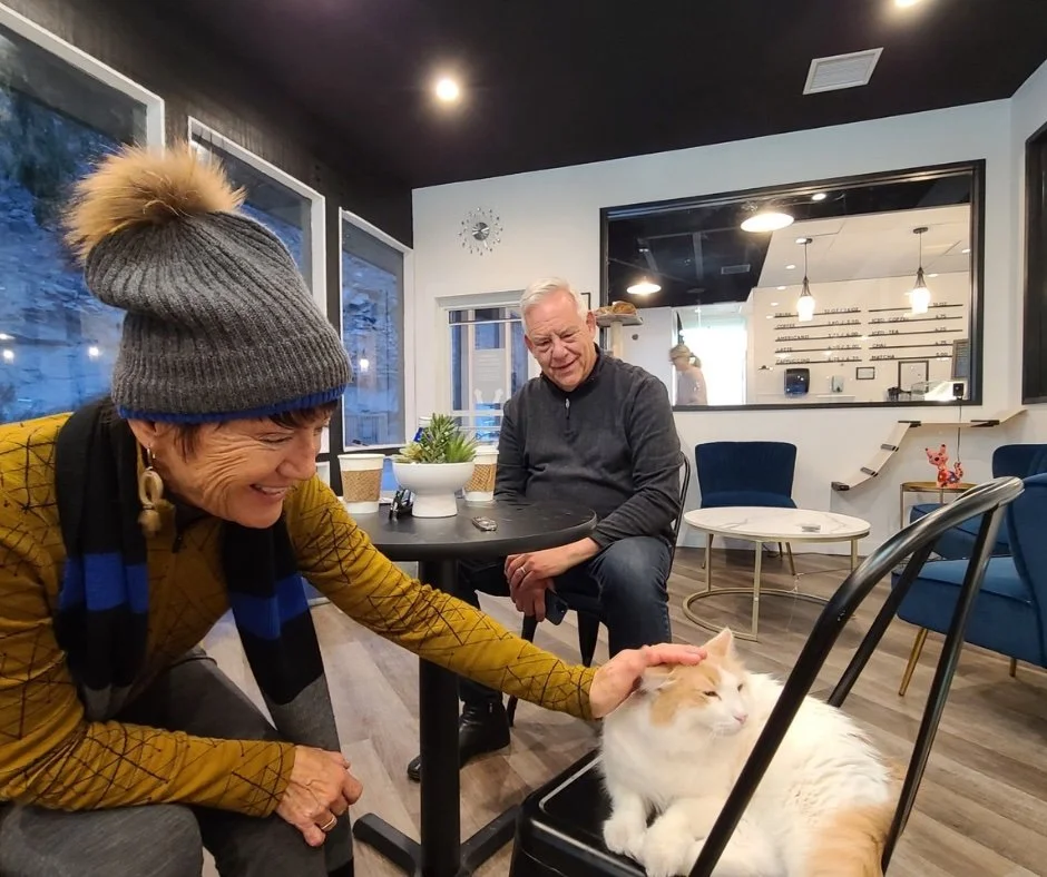 Frisky Business Cat Cafe & Coffee Shop | Palm Springs
