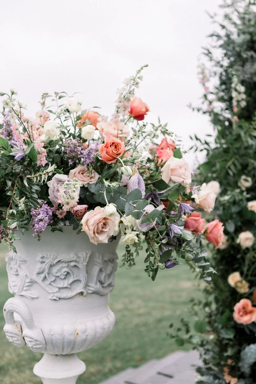 edited image-5 Large.jpeg