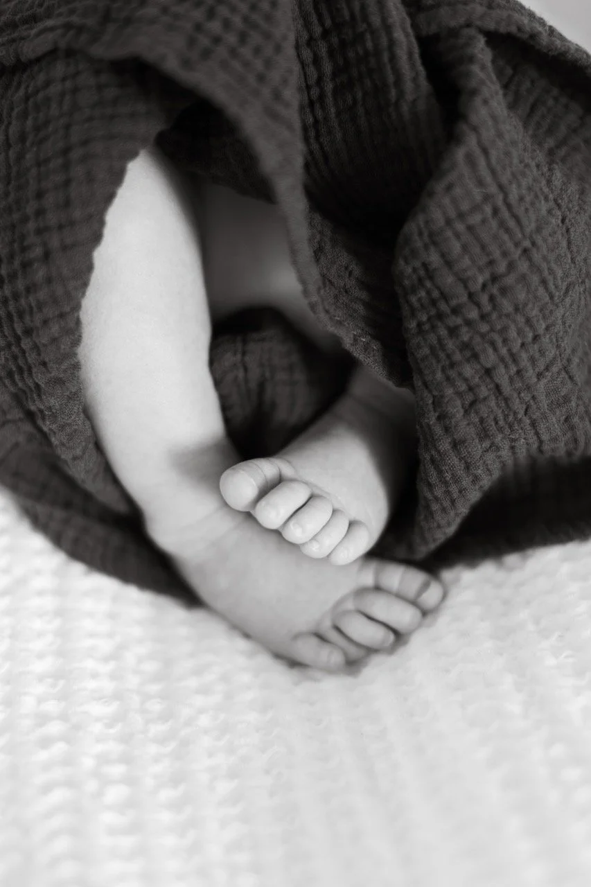 moschella25-128 Large.jpeg