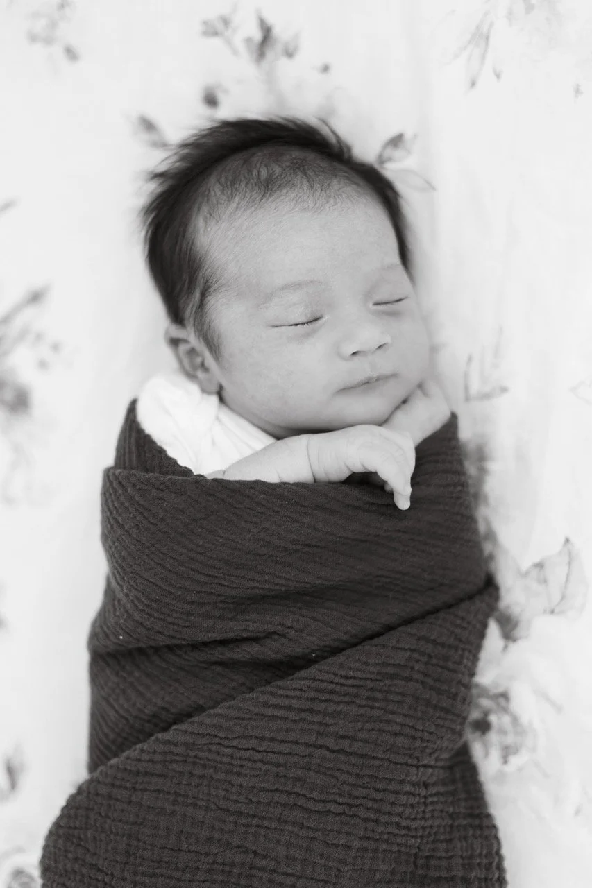 moschella25-132 Large.jpeg