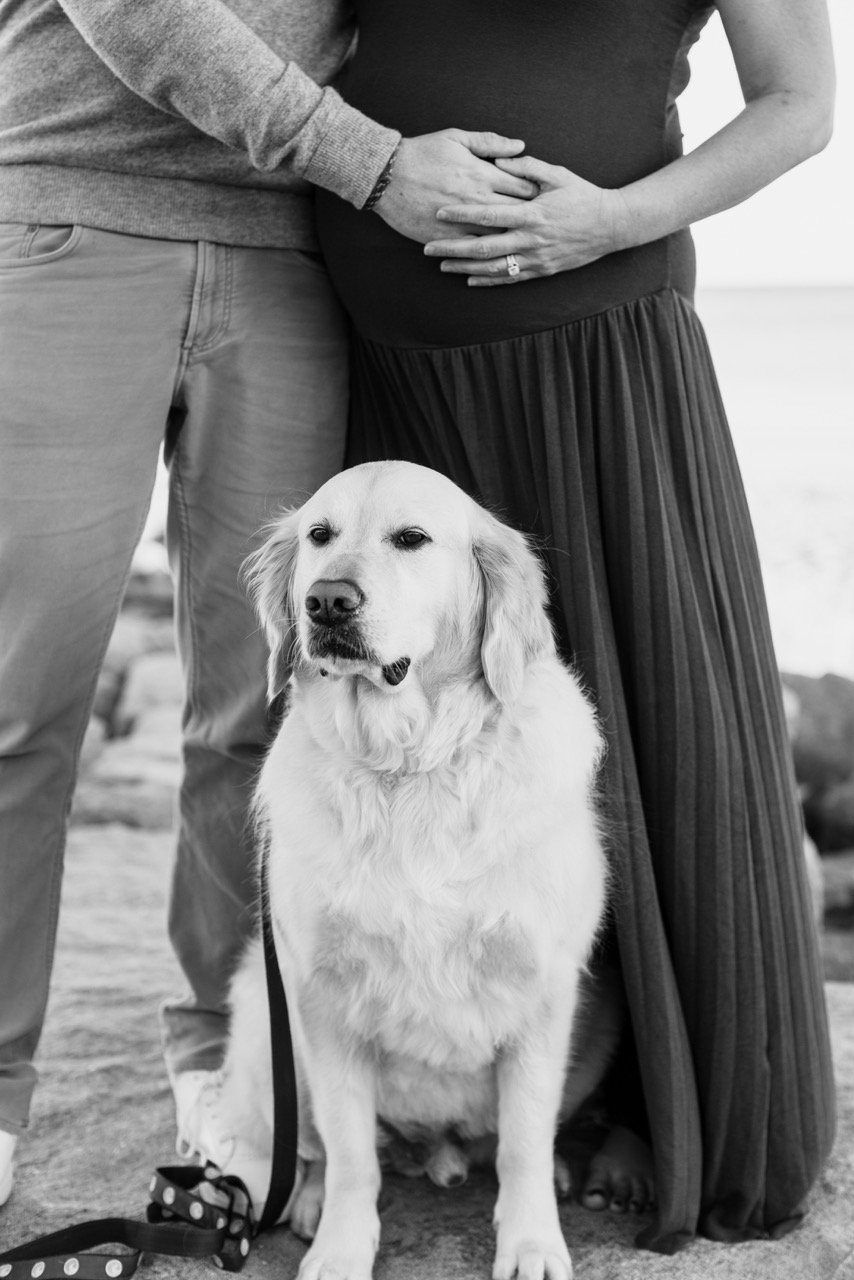 hatton25-118 Large.jpeg