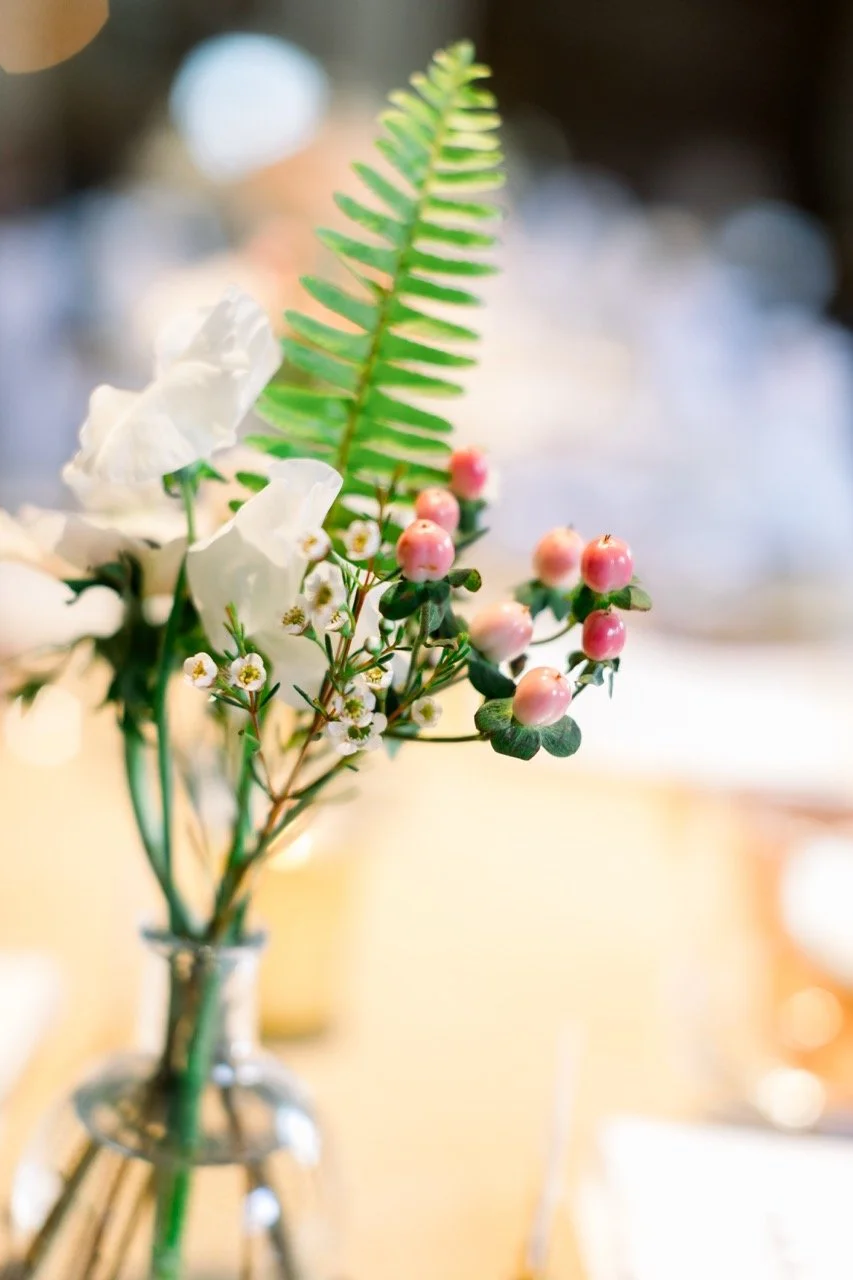 image-127 Large.jpeg