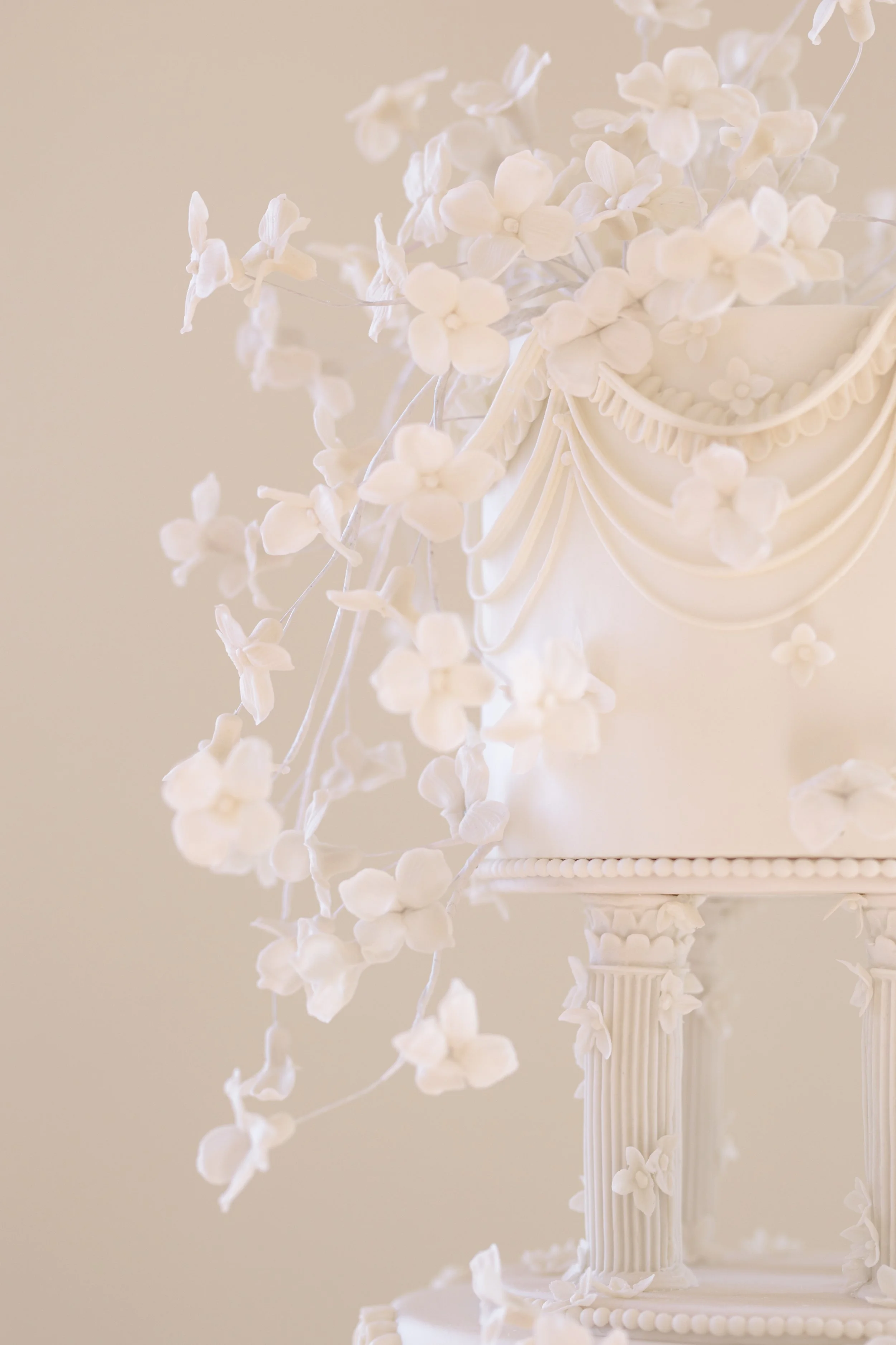 Charleston Editorial - all images-186.jpg