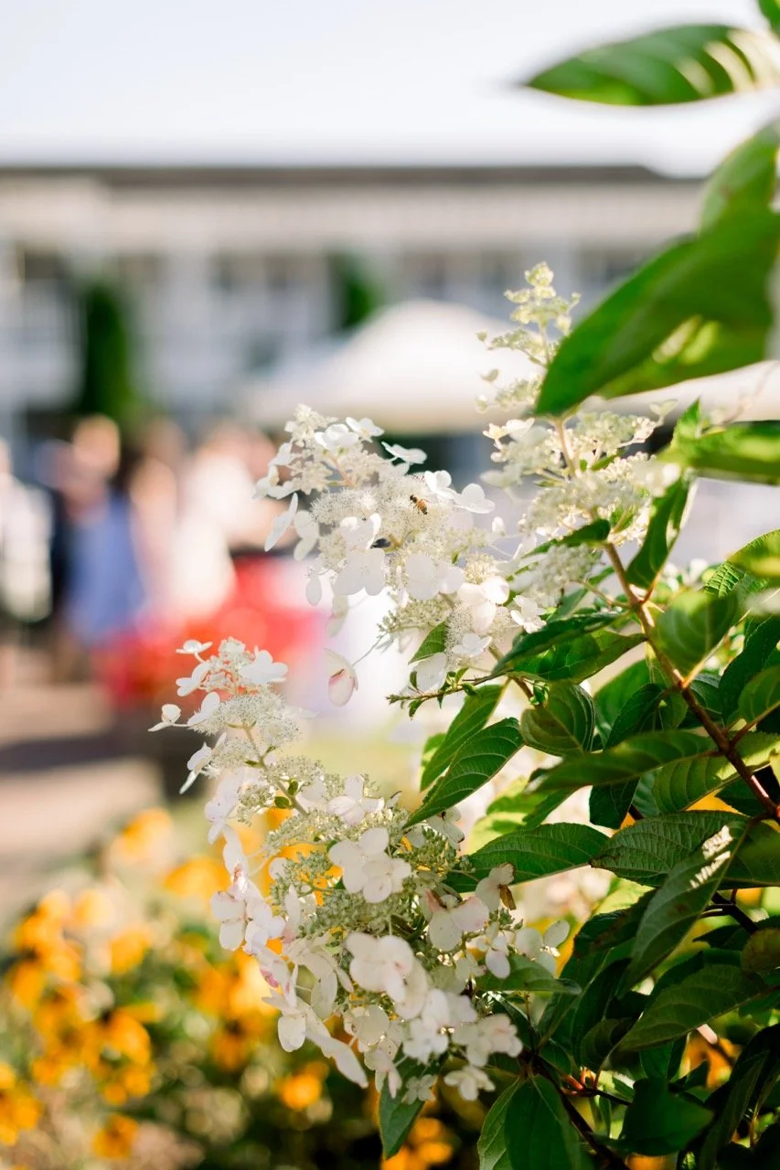 image -105 Large.jpeg