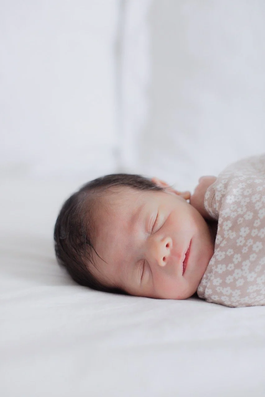 greenberg23-079 Large.jpeg