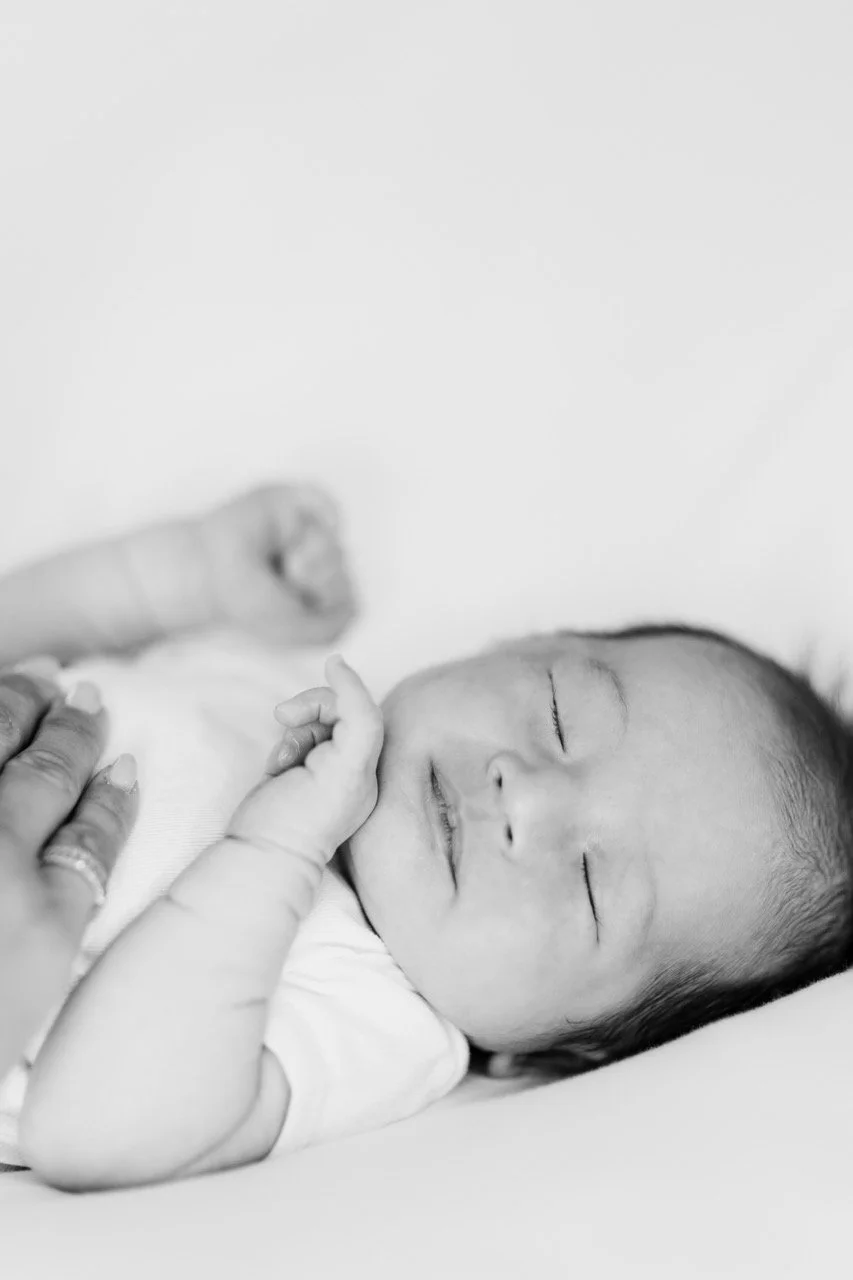 moschella25-074 copy Large.jpeg