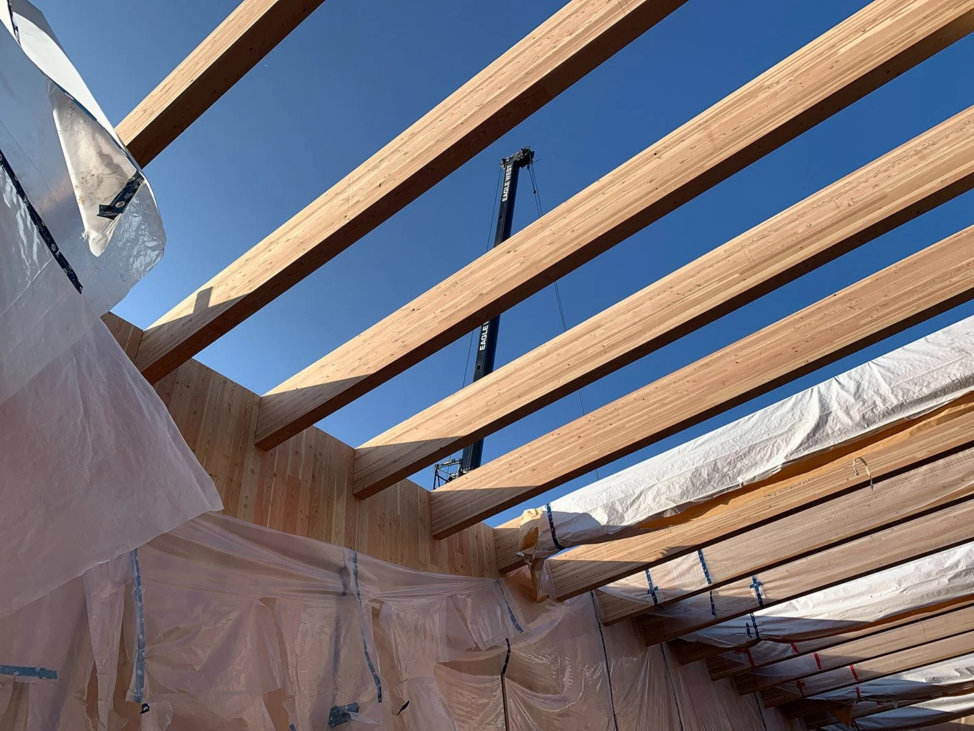 SD-93 Ecole des Deux-rives - mass timber 04.jpg