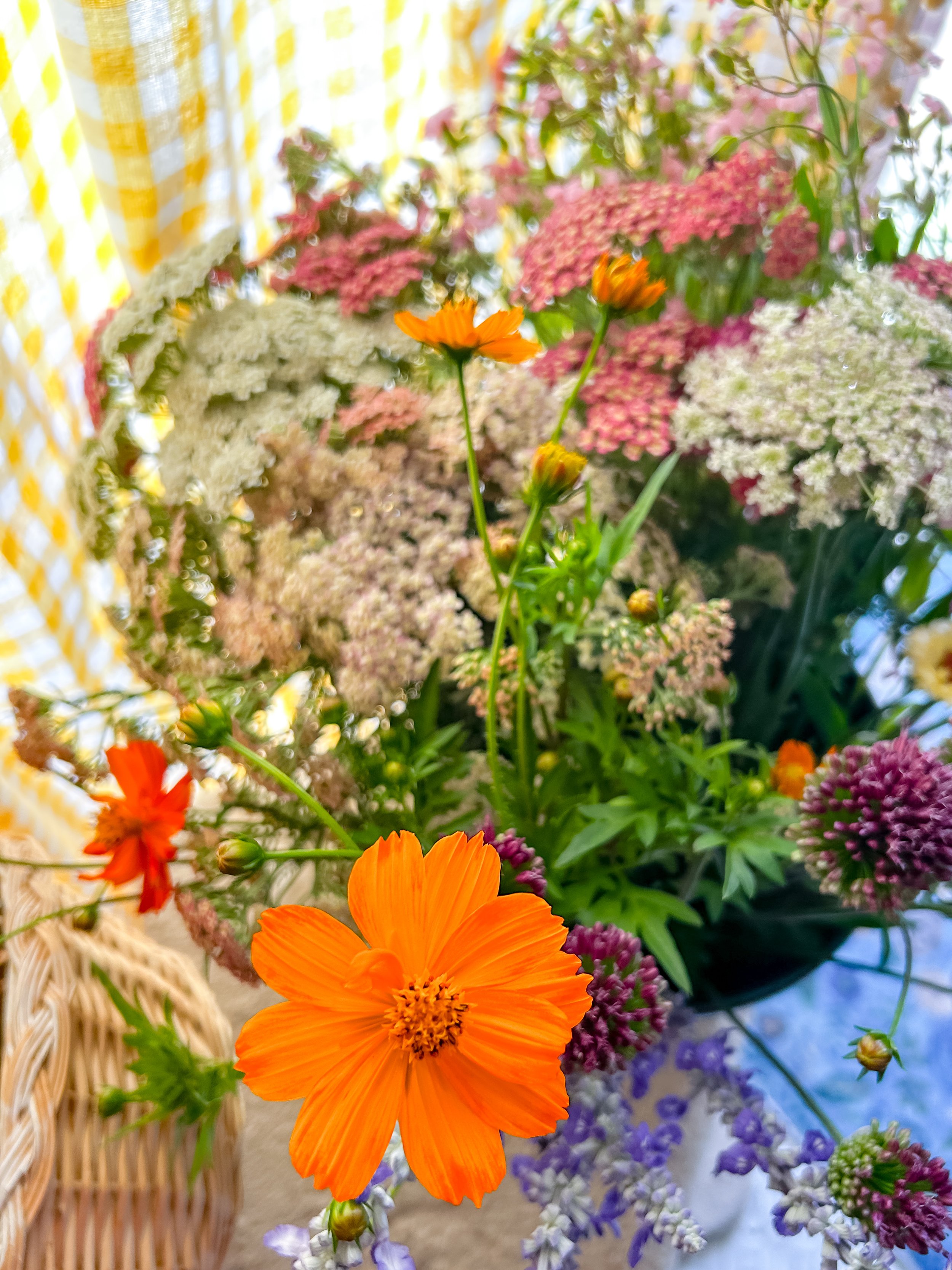 Bucket of Blooms