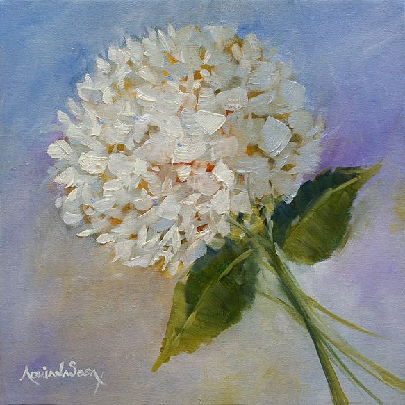 "Hortensia". Óleo sobre tela 30 x 30 cm.