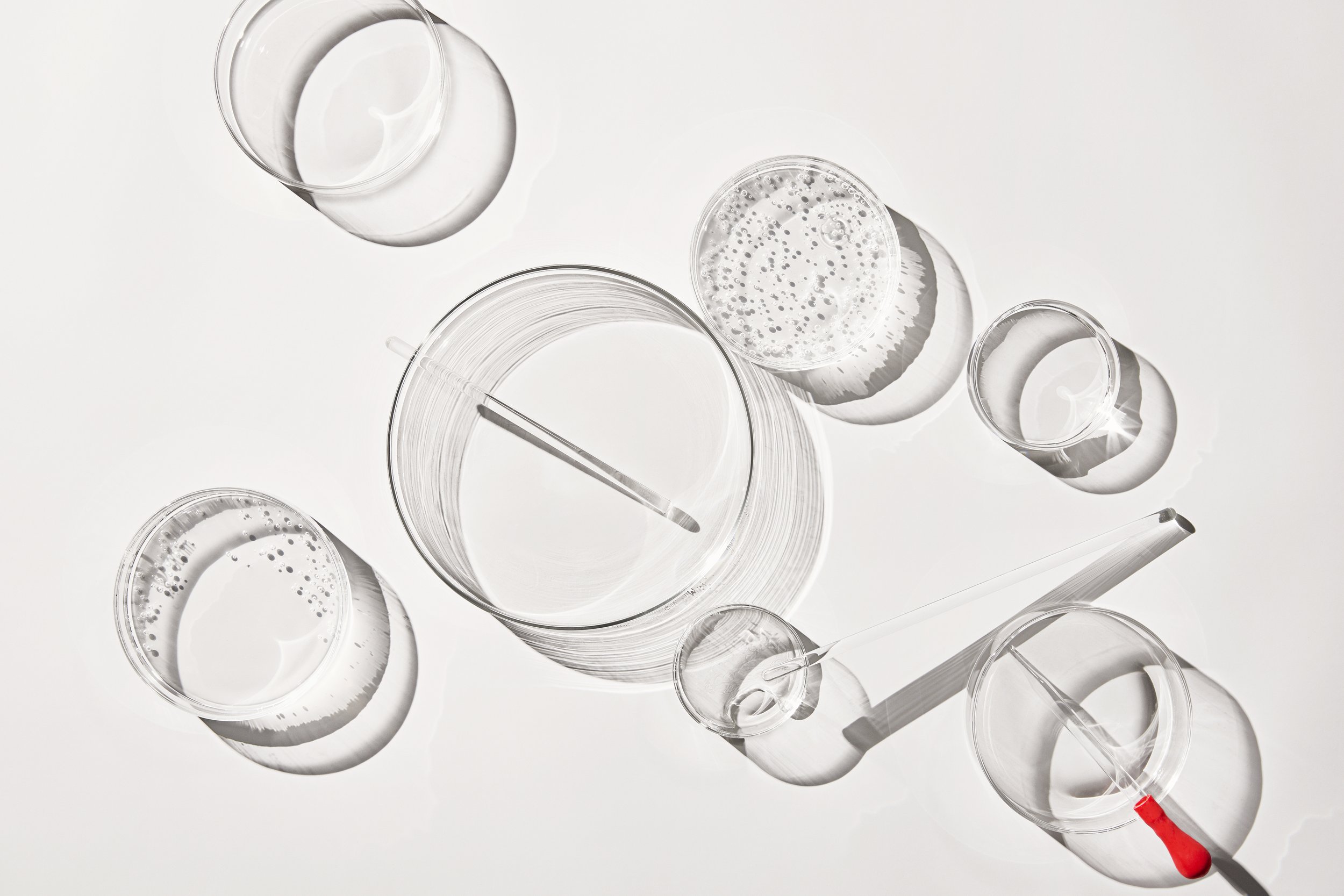 s01_EliLilly_LAYERED-PETRI-DISHES_254_V1.jpg