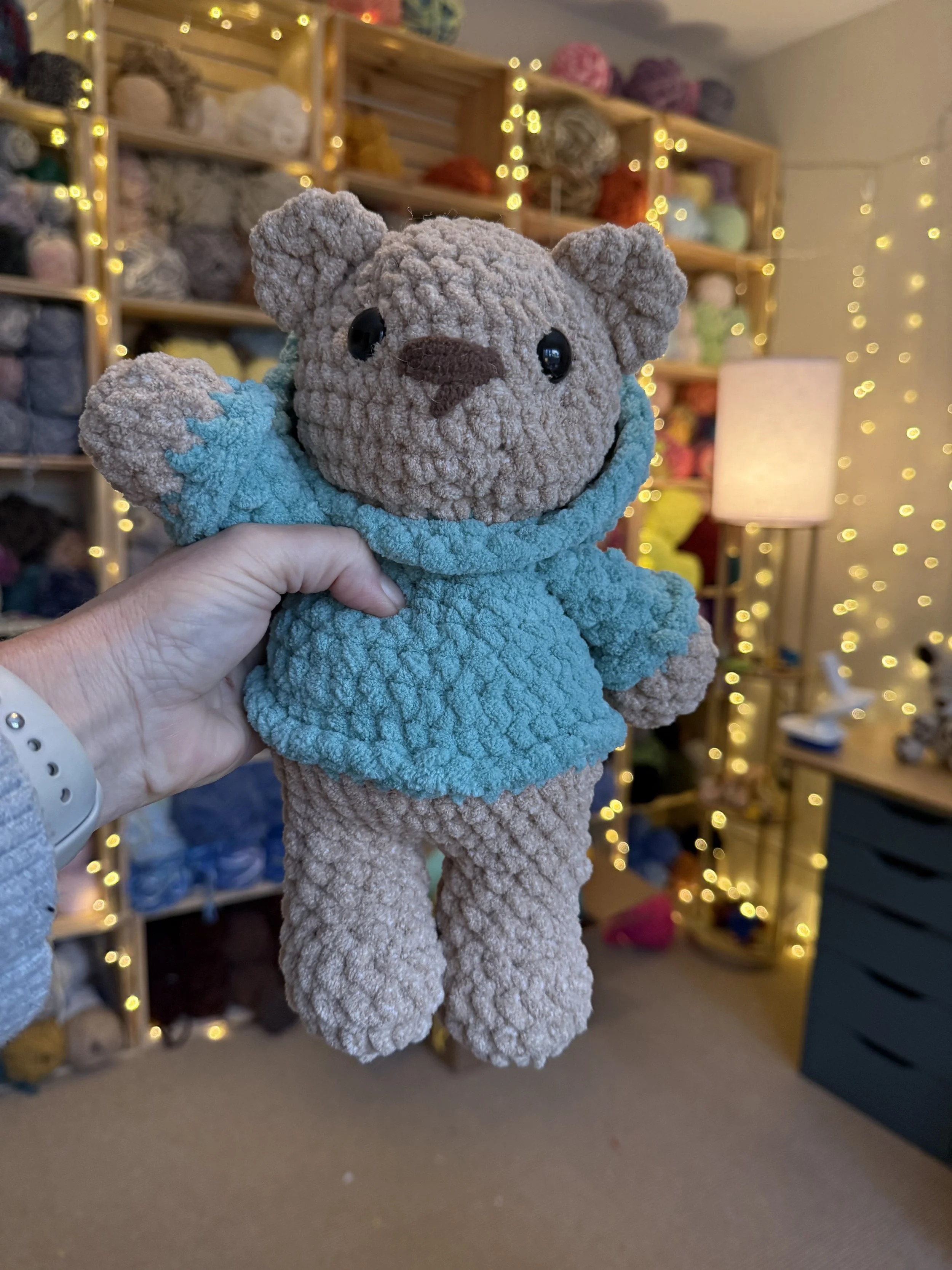 Green Frog Hoodie Bear