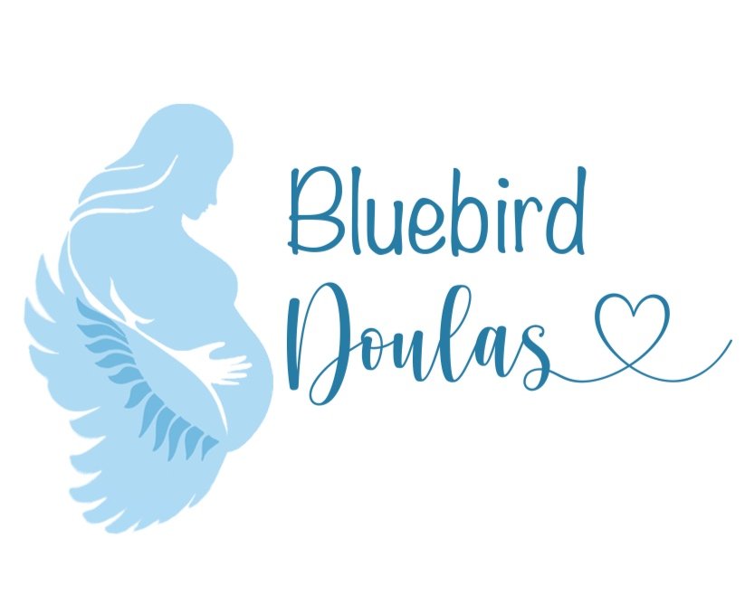 Postpartum &amp; Birth Doula Support | Bluebird Doulas