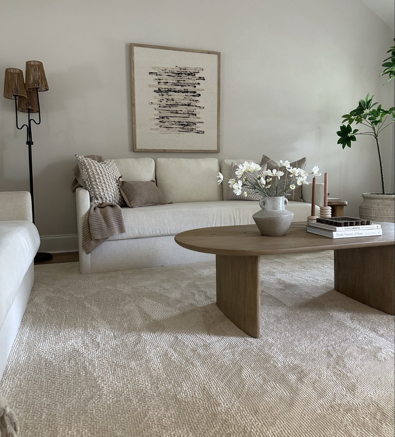 Washable Neutral Rug