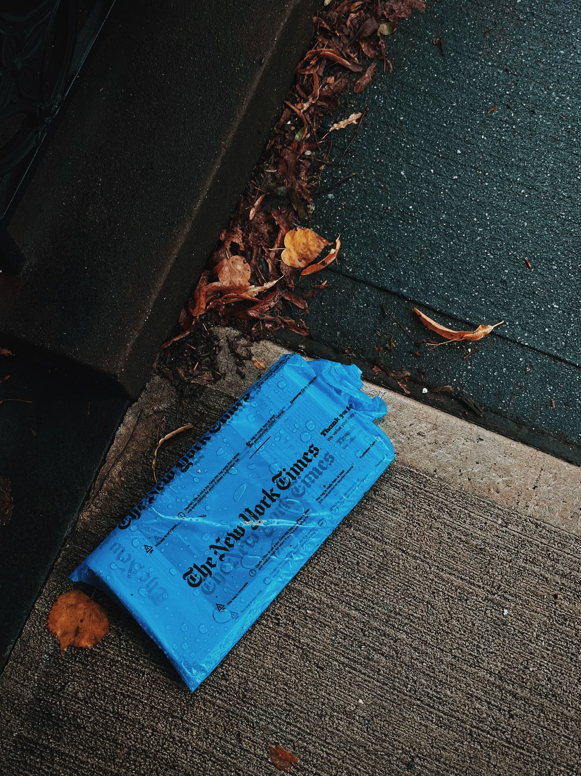 The New York TImes.JPG