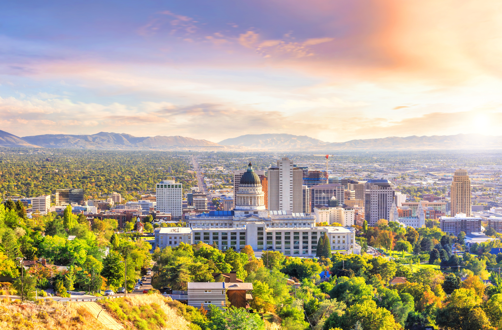 SLC: Looking Back to Plan Ahead