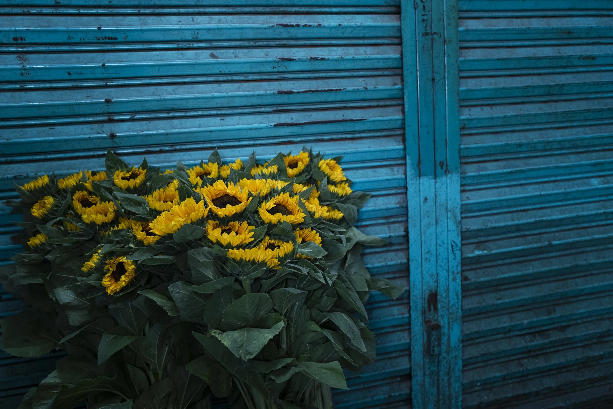 Oaxaca - City of Color