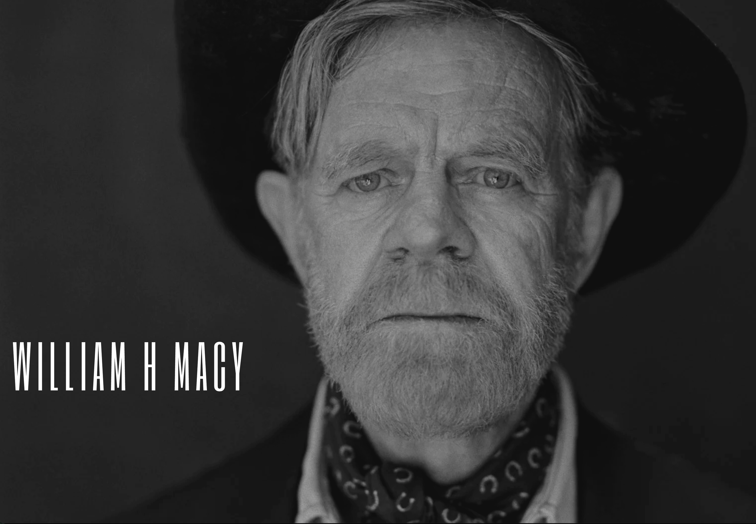 William H. Macy | Stills