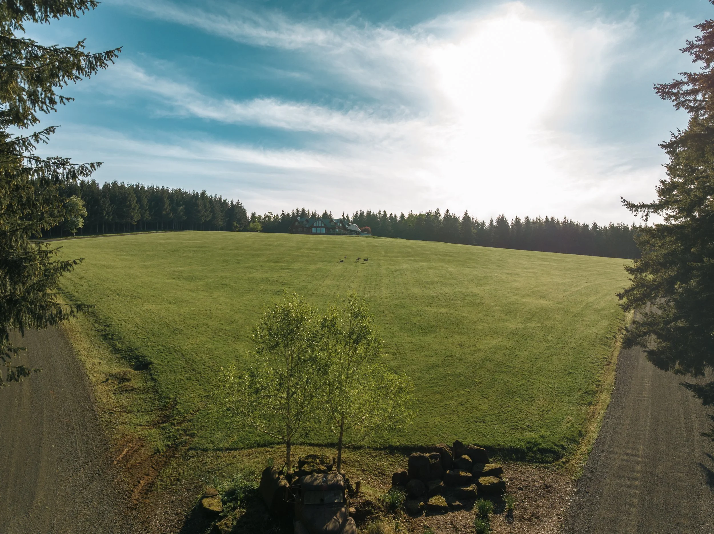 DJI_20260430174745_0355_D.jpg
