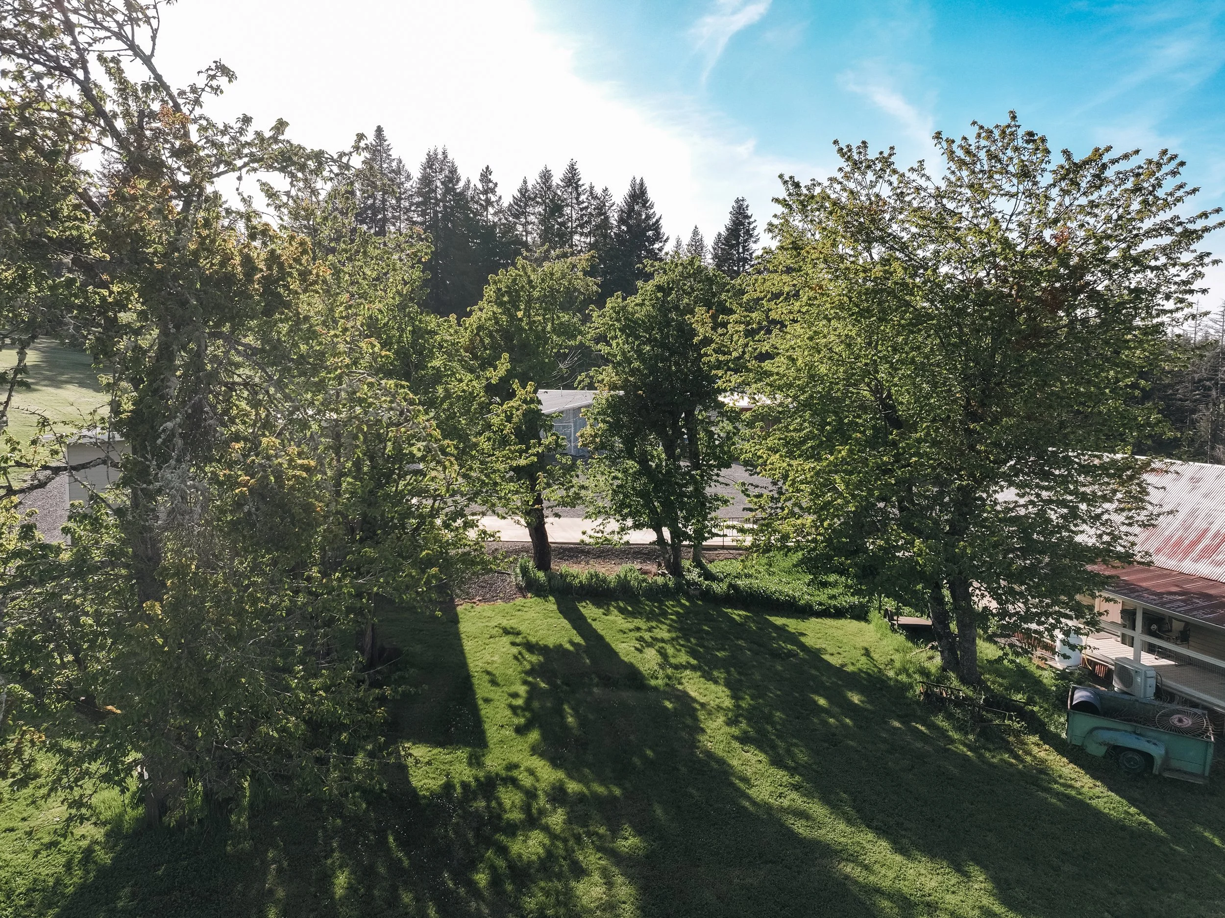 DJI_20260430172914_0305_D.jpg
