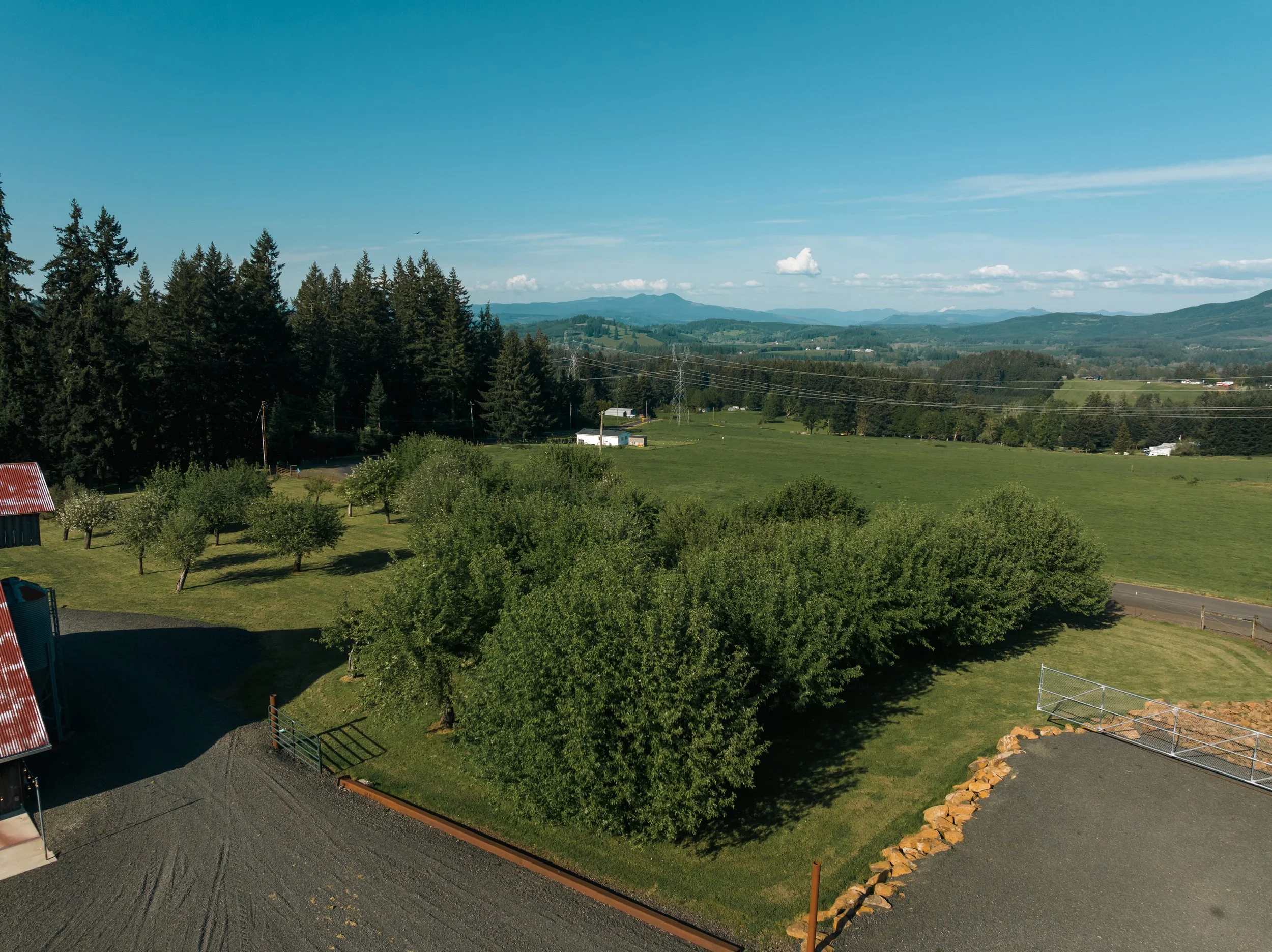 DJI_20260430171906_0261_D.jpg