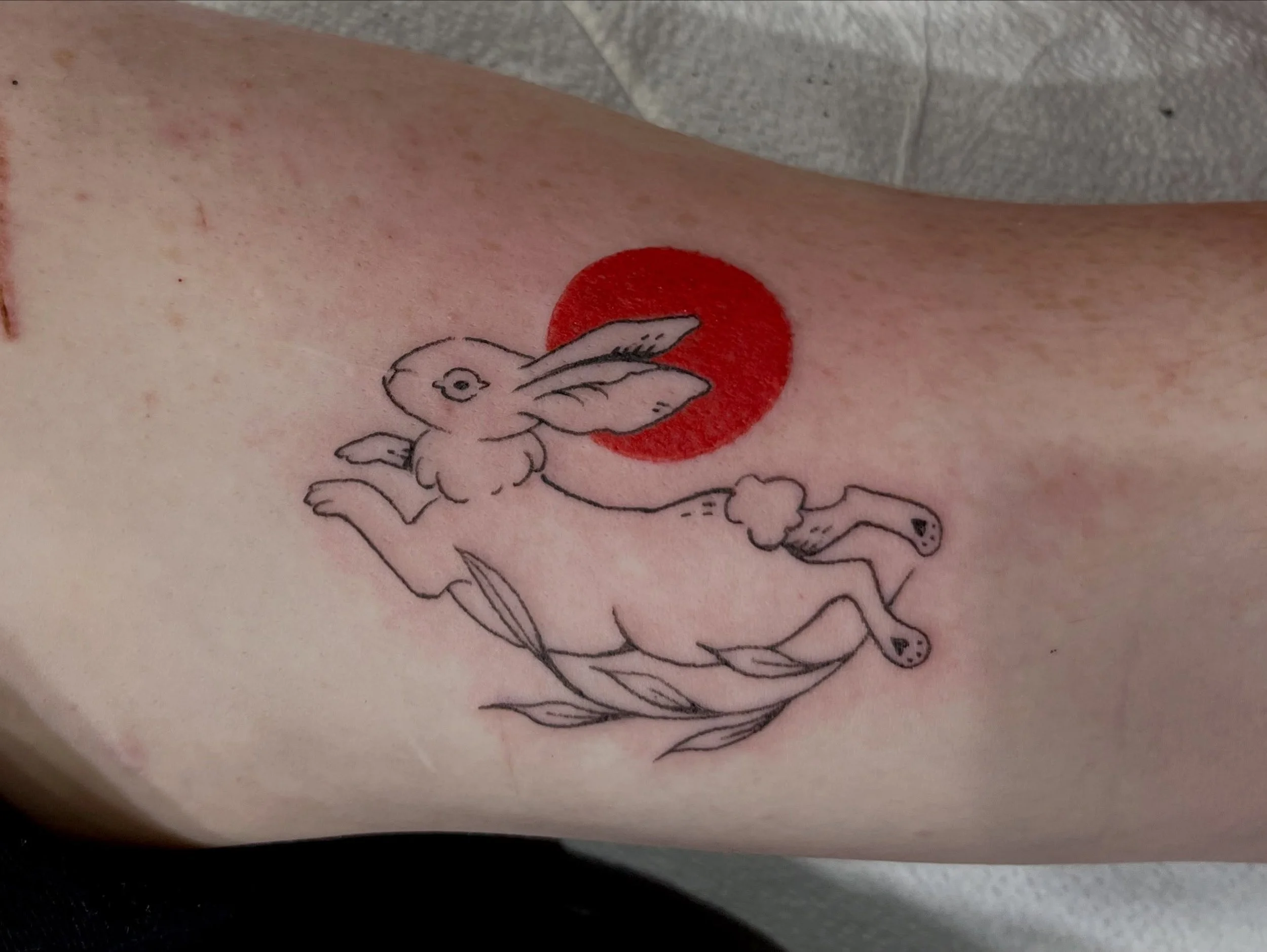 Bunny flash for some friends. Thanks for looking!