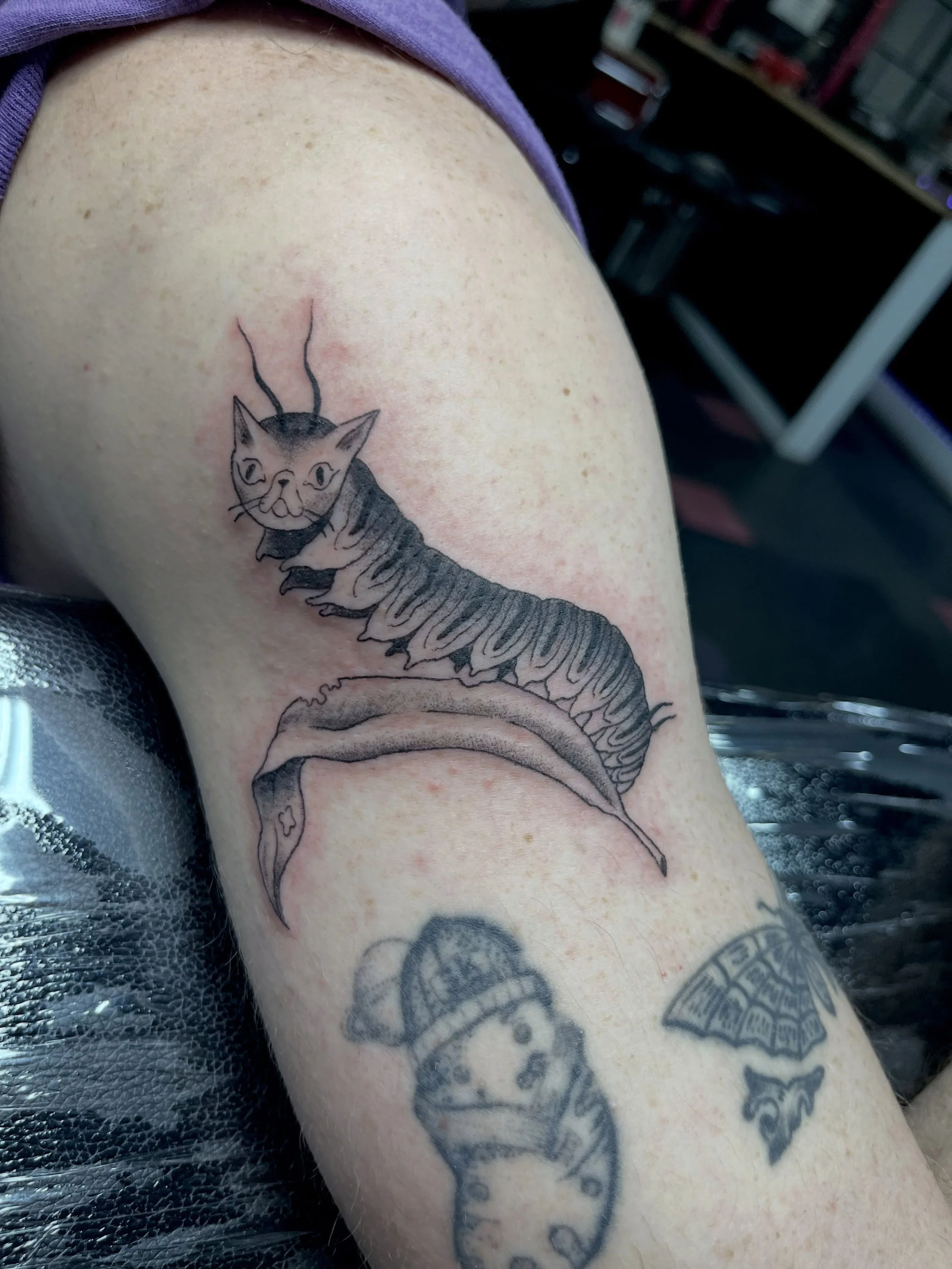 I love this freaky lil fella :)