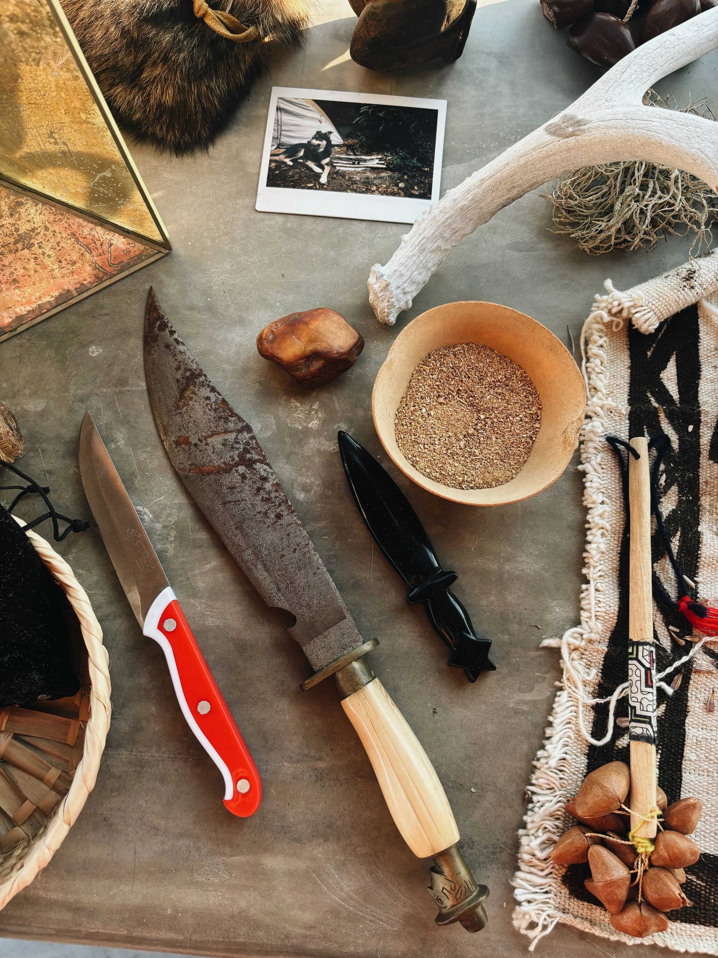 IBOGA PREPARATION: MEDICINE FOR THE PHYSICAL BODY