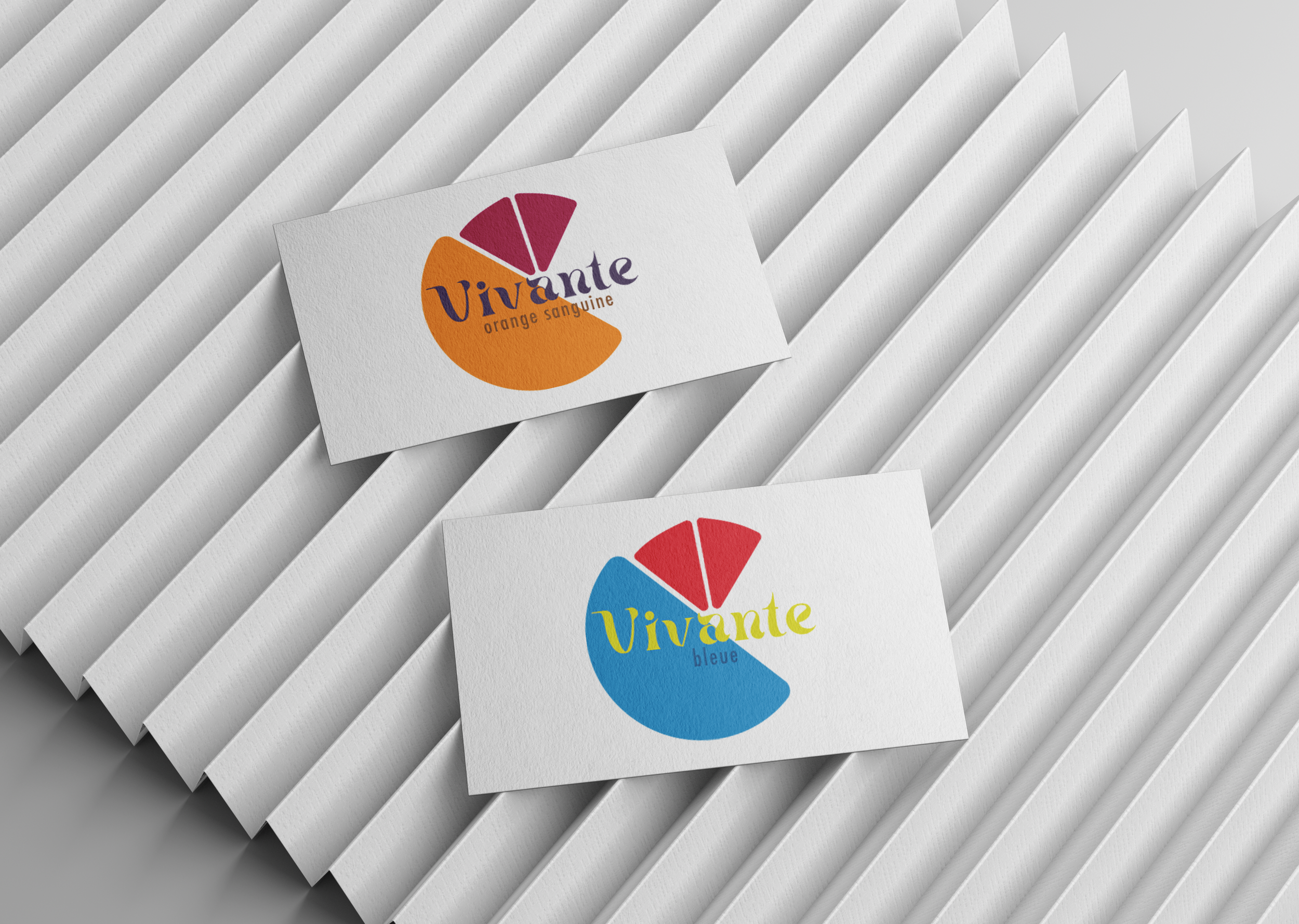 Vivante Logos Mockup.png