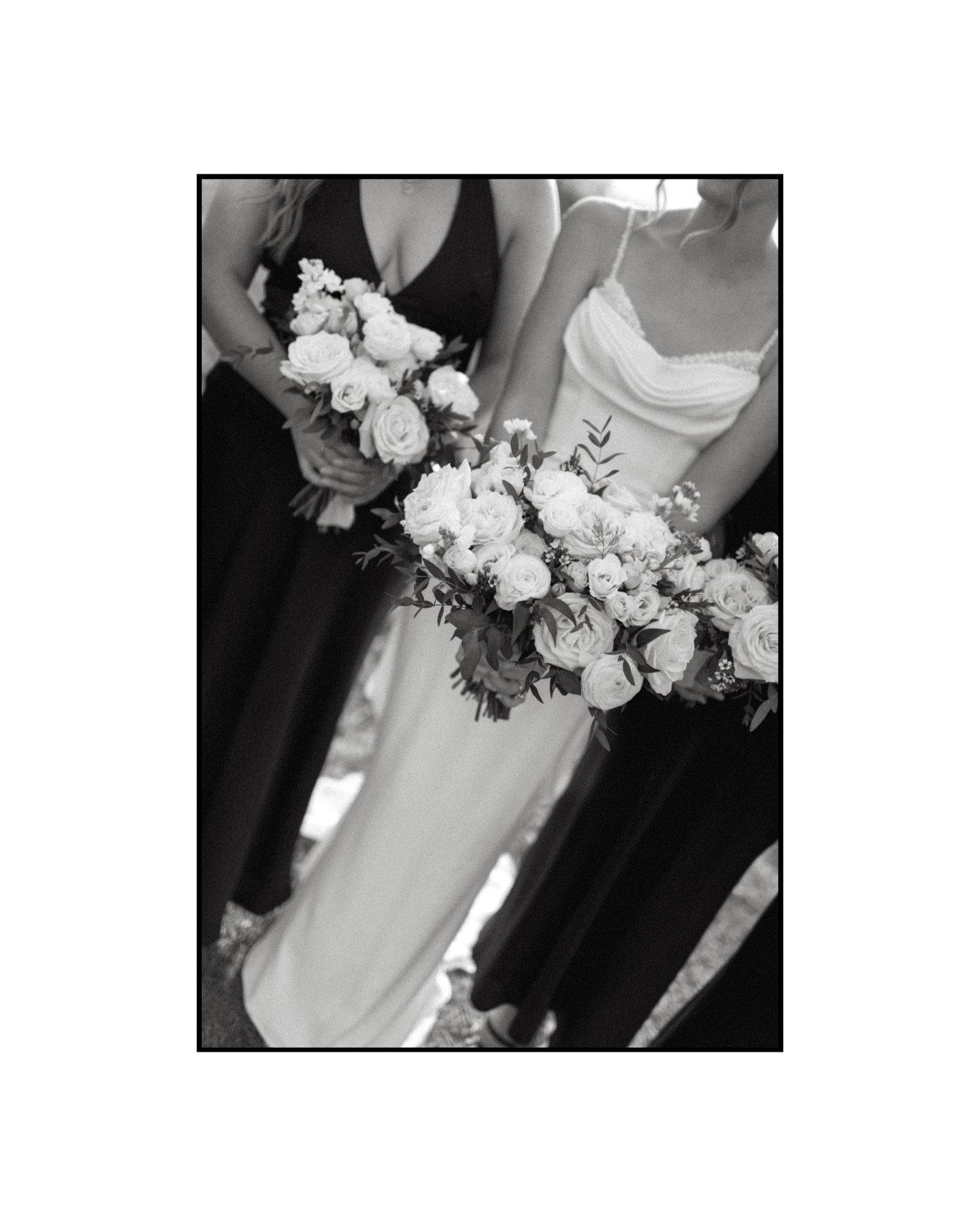 How have I not shared this beautiful October wedding yet?!
Says the girl currently running on coffee, love, snuggles from Stella and approximately 3 months without a real day off 😂

Life, work and a very full editing queue have kept me insanely busy