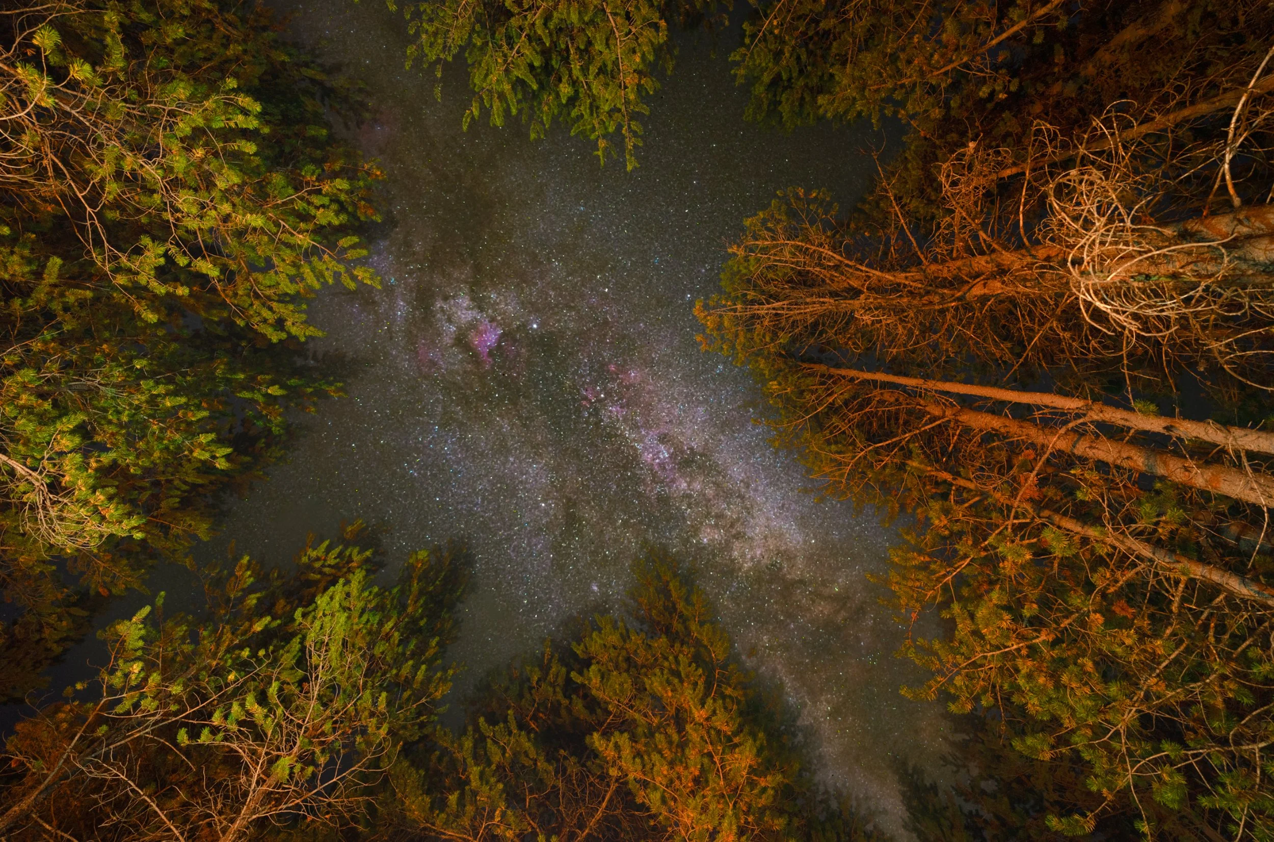 Bry: When we camped at Yellowstone