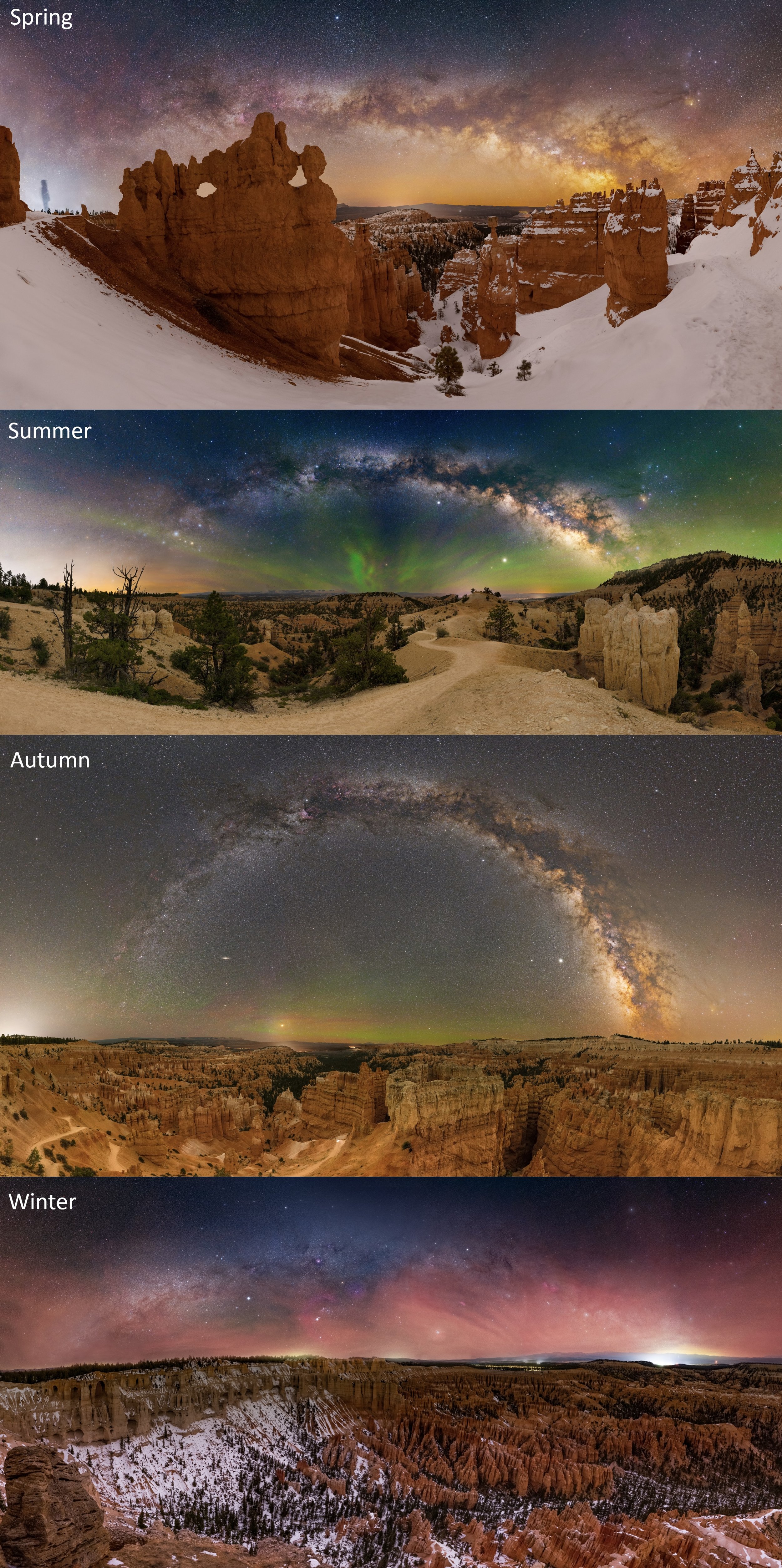 Bry: Four seasons of Bryce Canyon