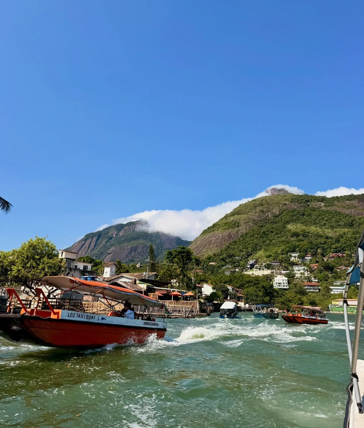 🇧🇷 R I O  D U M P 🇧🇷