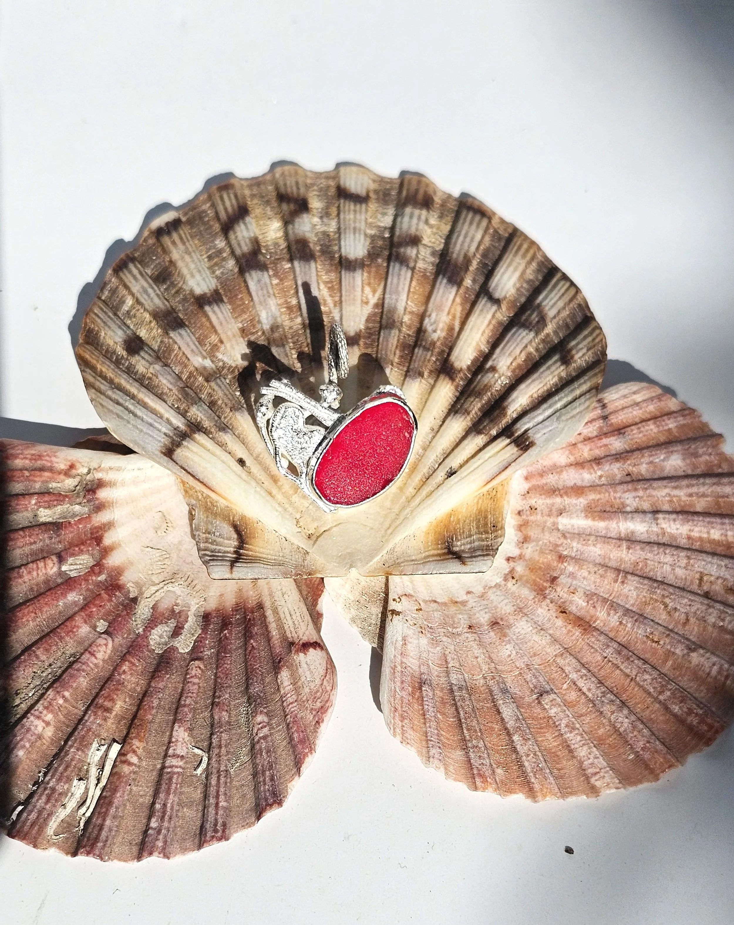 20251003_154612.jpg (Copy)