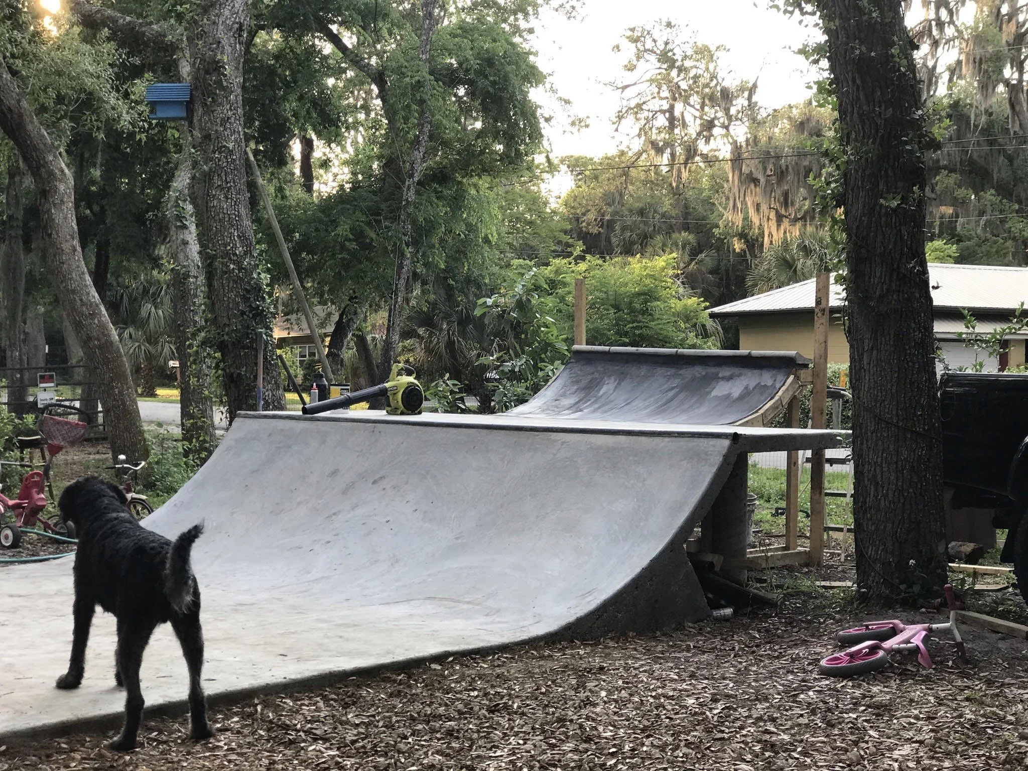 Root Ramp.jpg