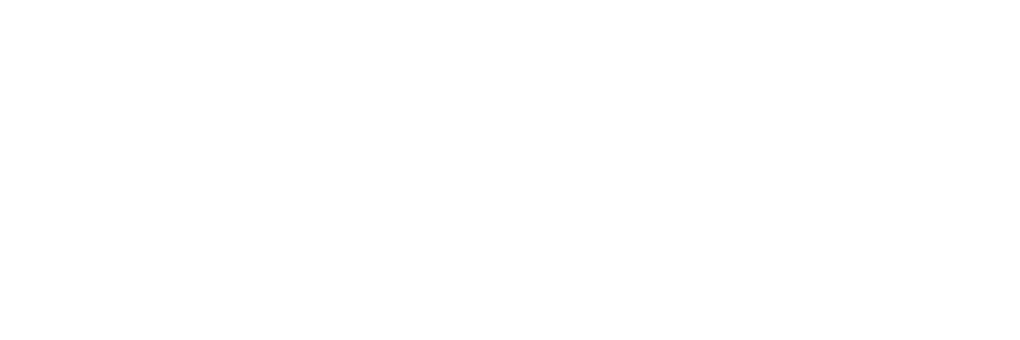 Community Strides — Life Strides Foundation