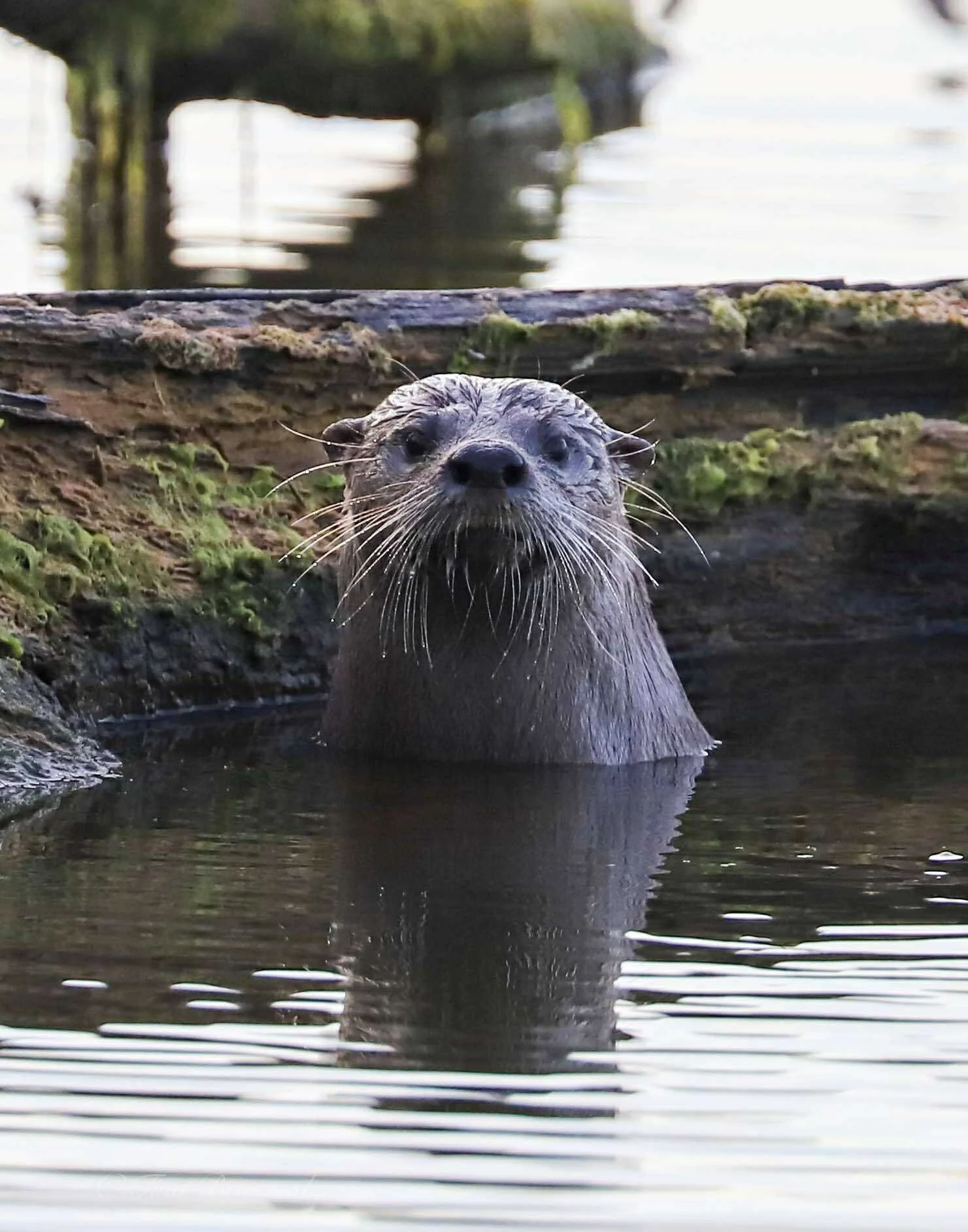 Photographer: Tina Brazzeal