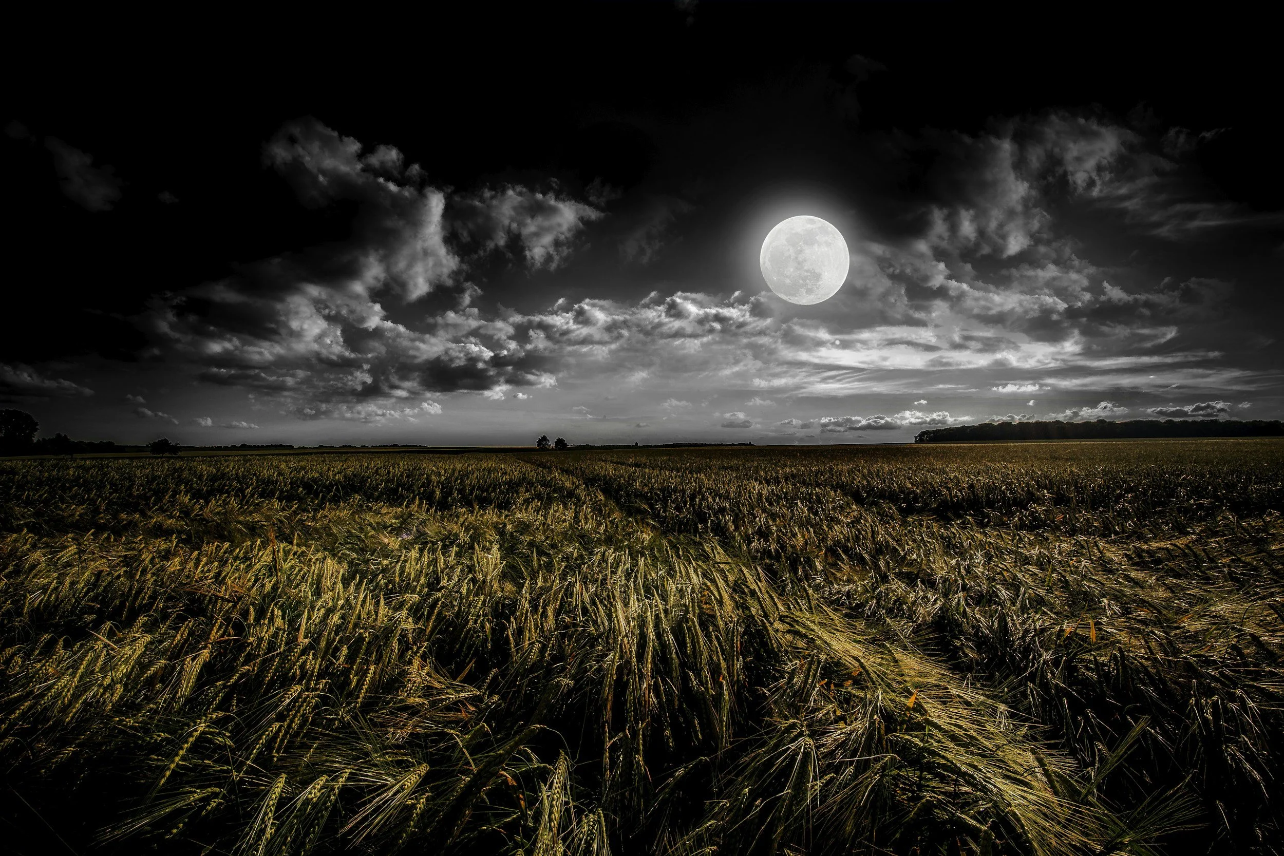 Space Out and Learn about Moon Phases