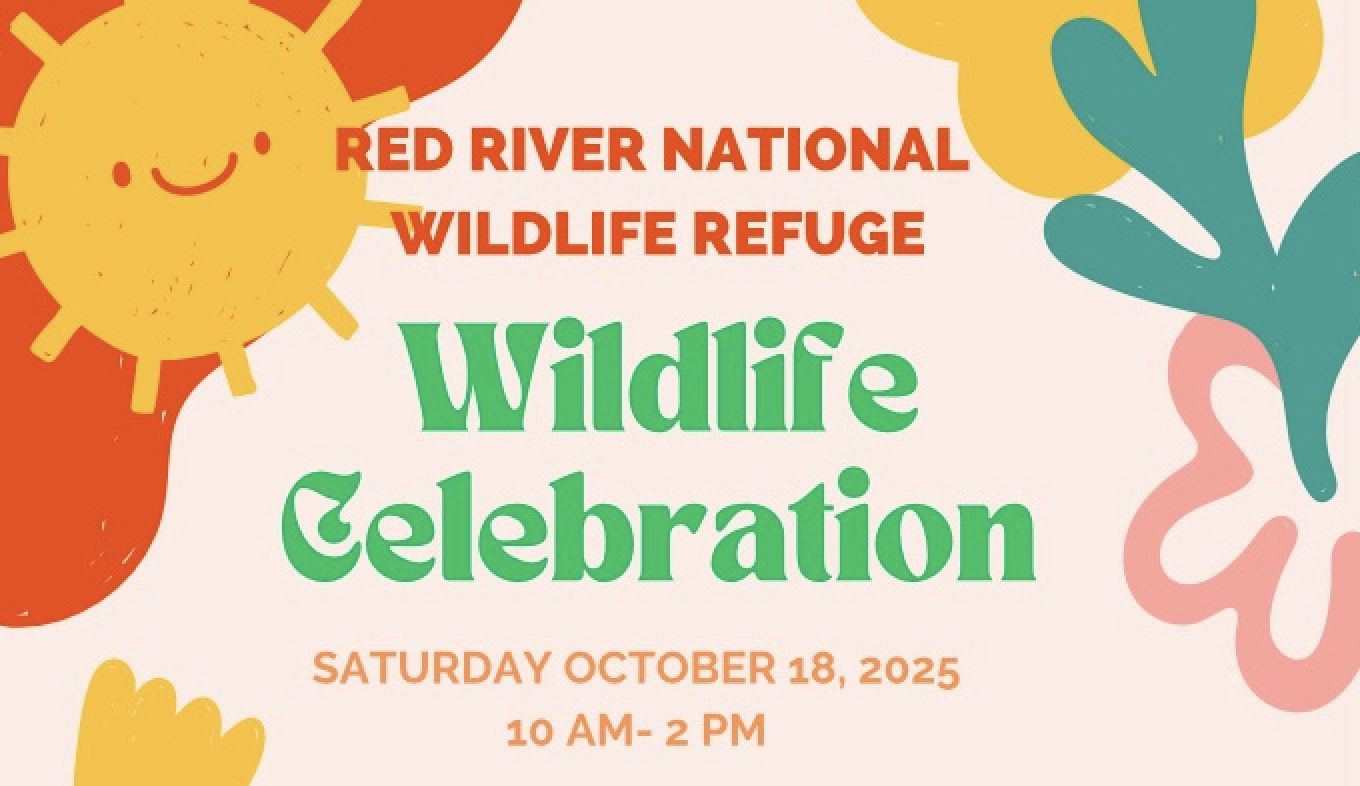 Wildlife Celebration