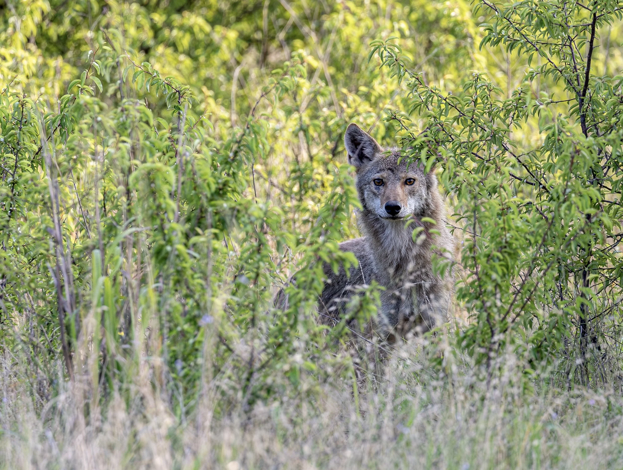 Top 20 Photographs Fall 2025