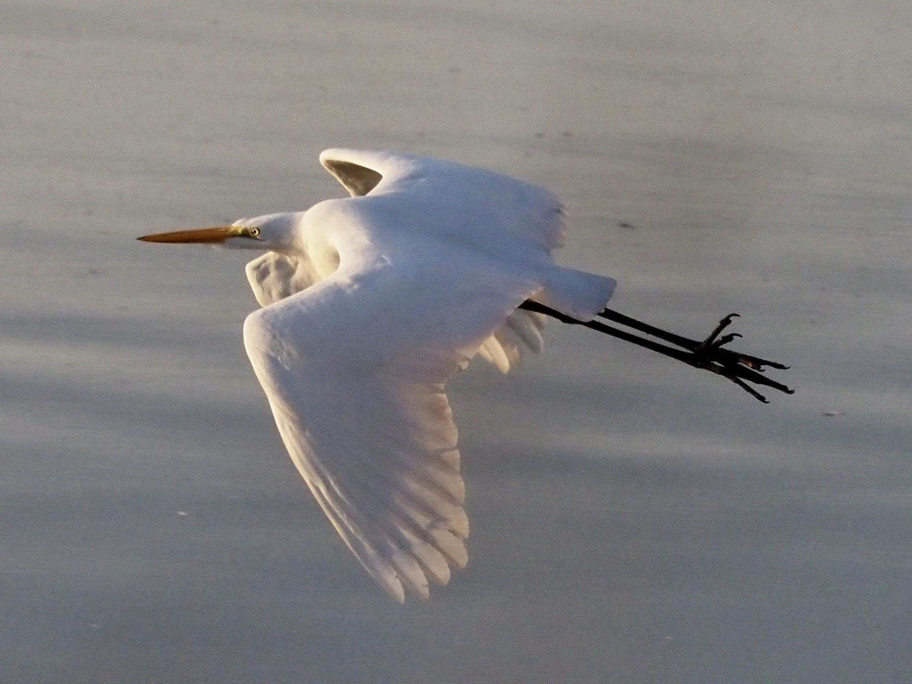 Photo by Steven Hatfield