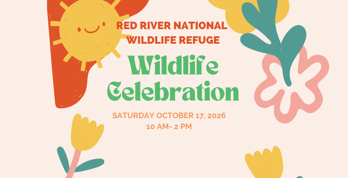 Wildlife Celebration