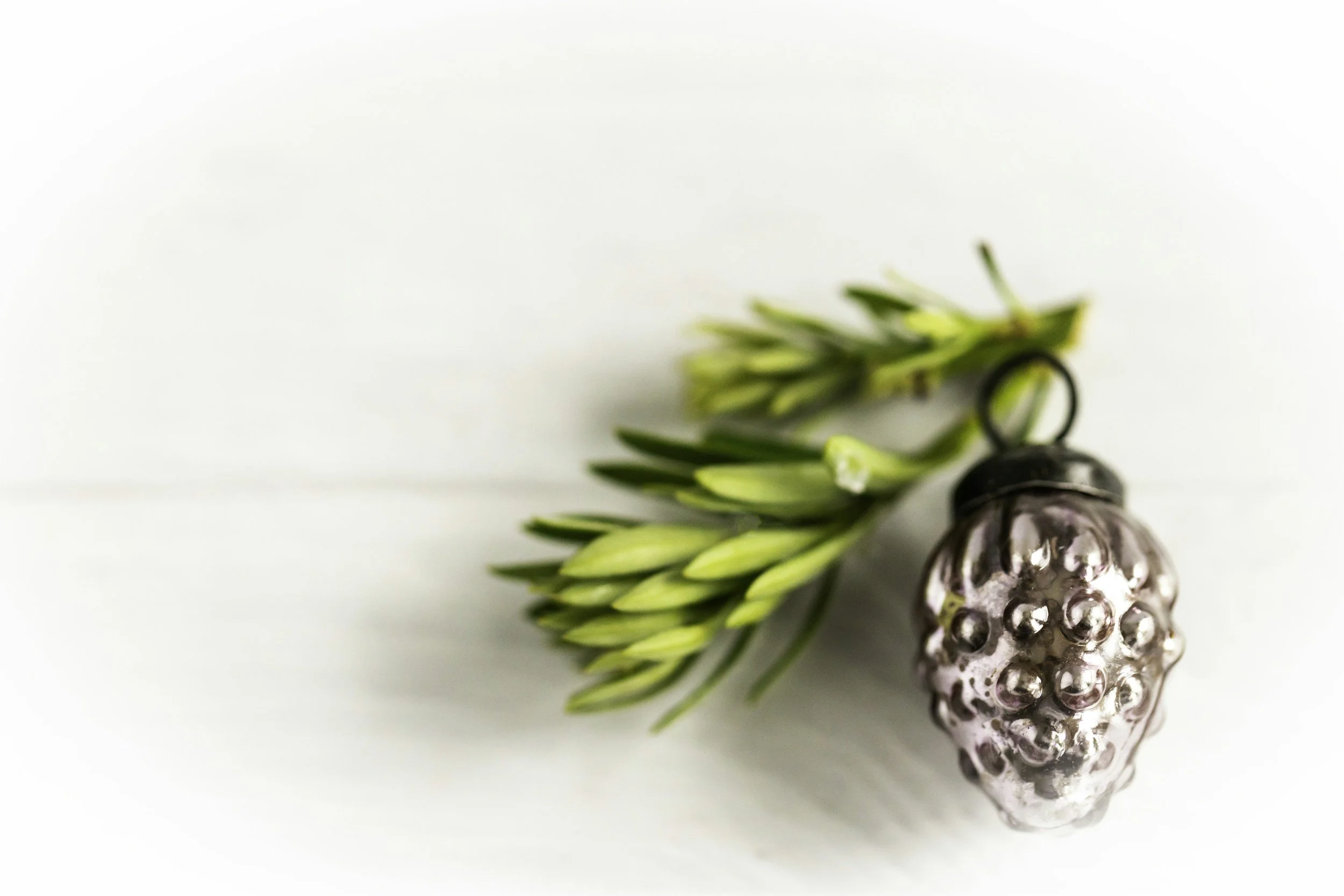 Nature Inspired Ornaments