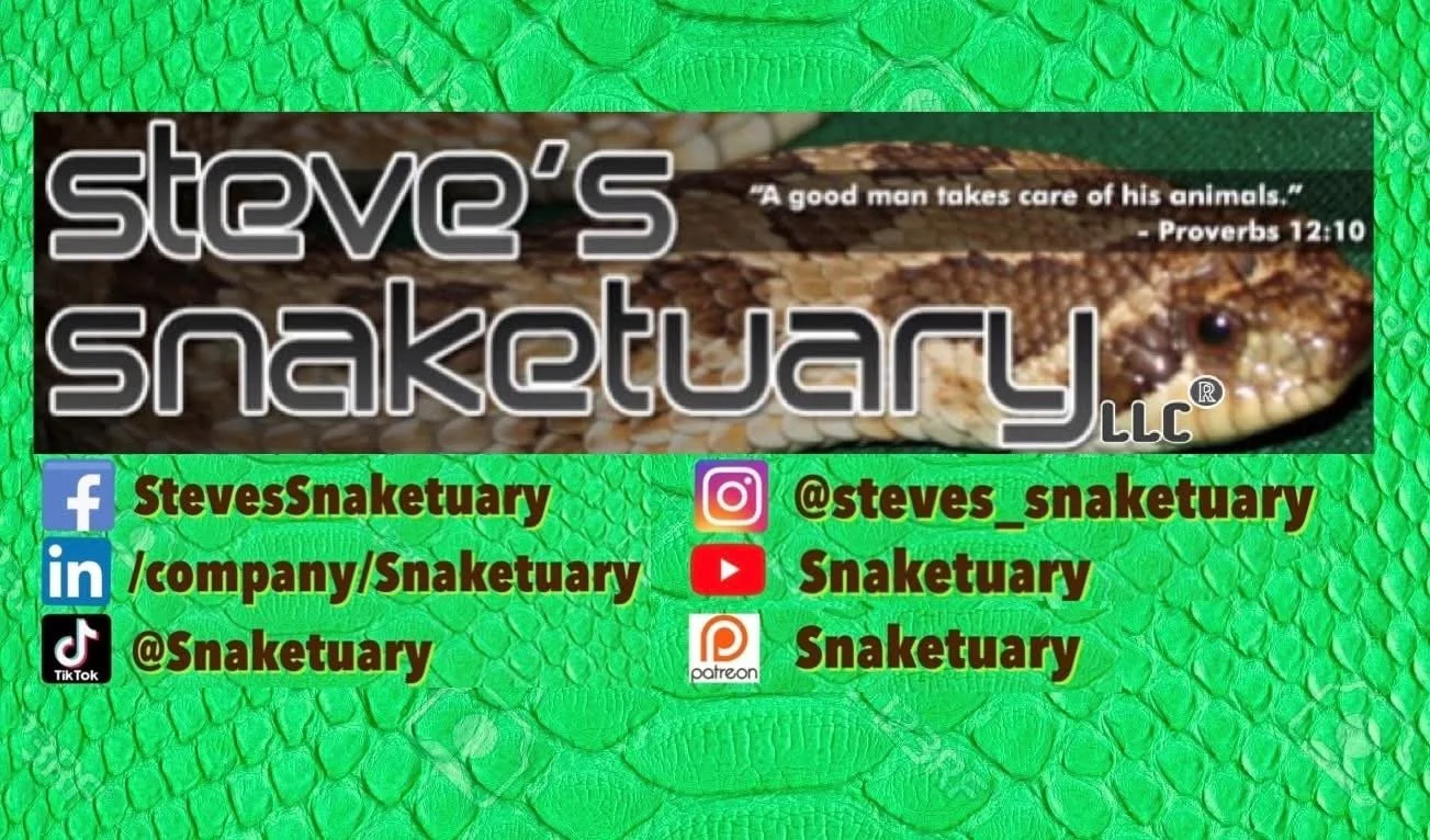 Snakes with Steve's Snaketuary
