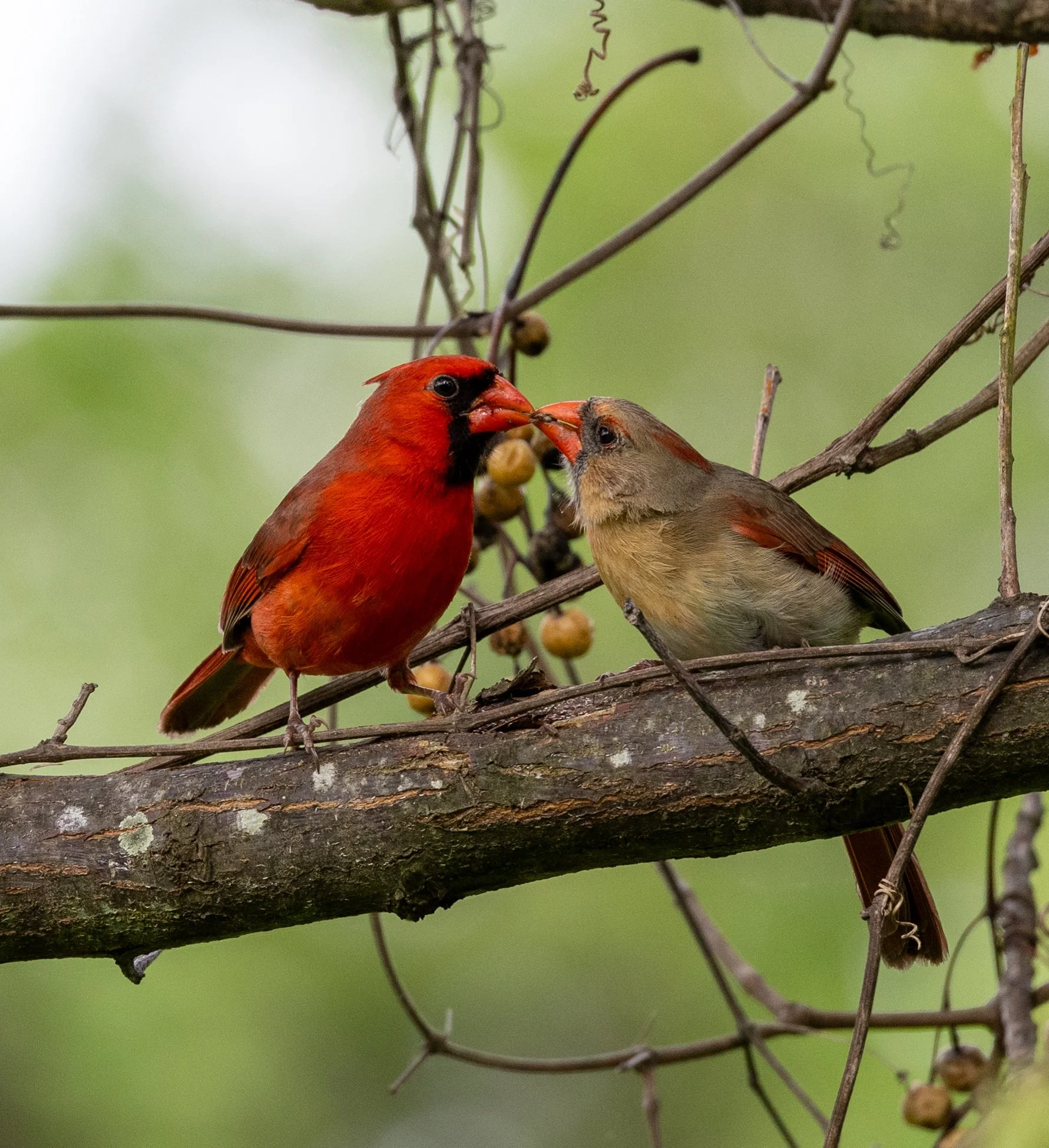 Photographer: Tina Brazzeal