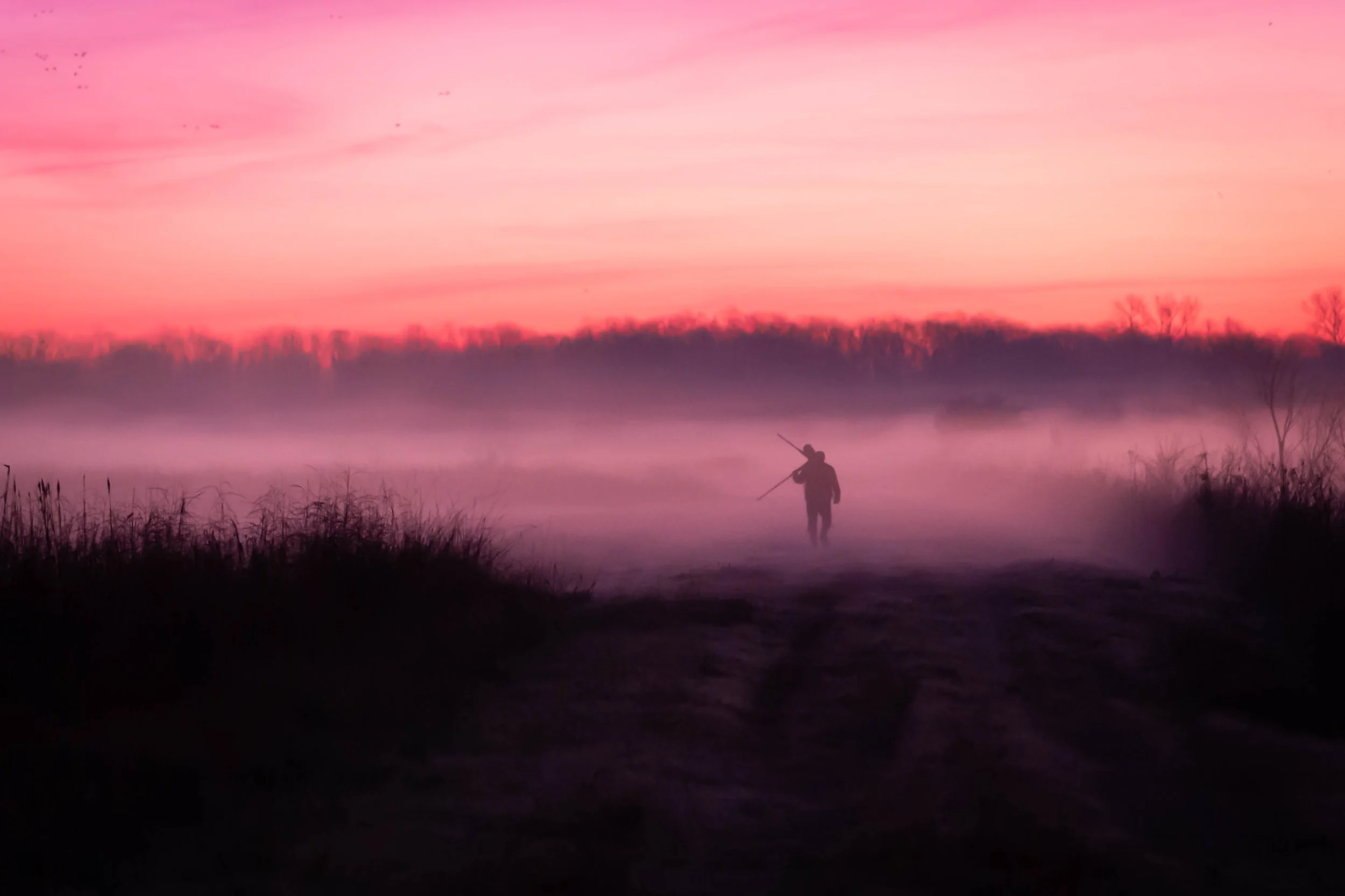 Photographer: Dot Rambin