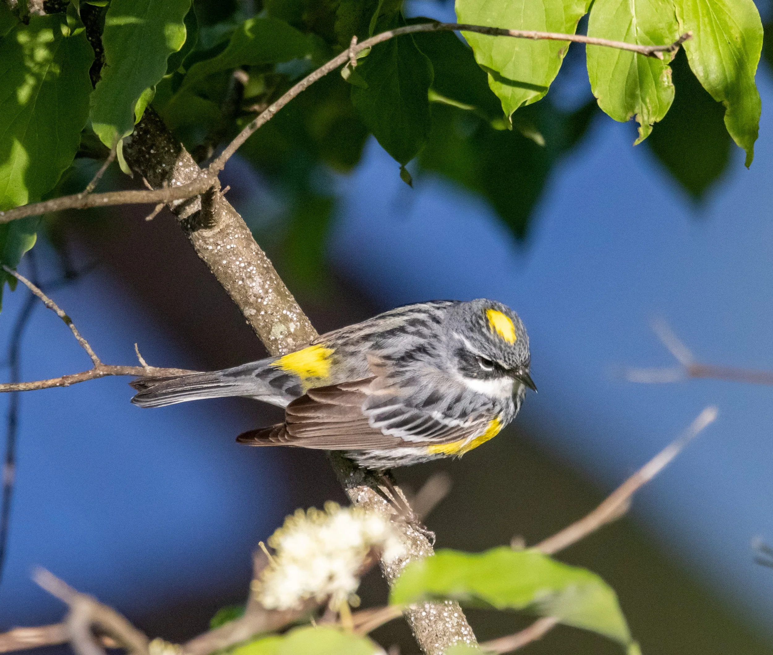 Photographer: Tina Brazzeal