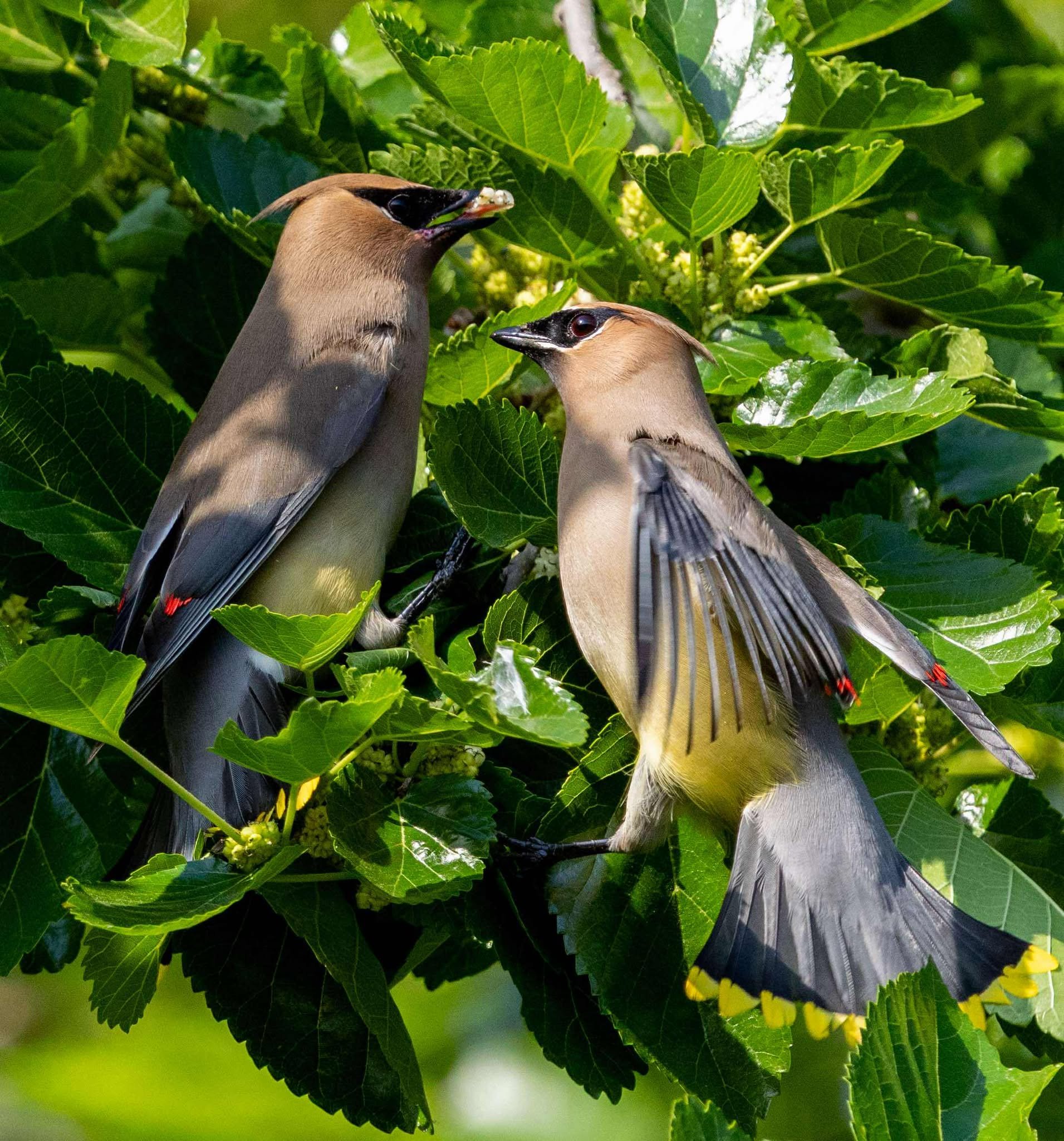 Photographer: Tina Brazzeal